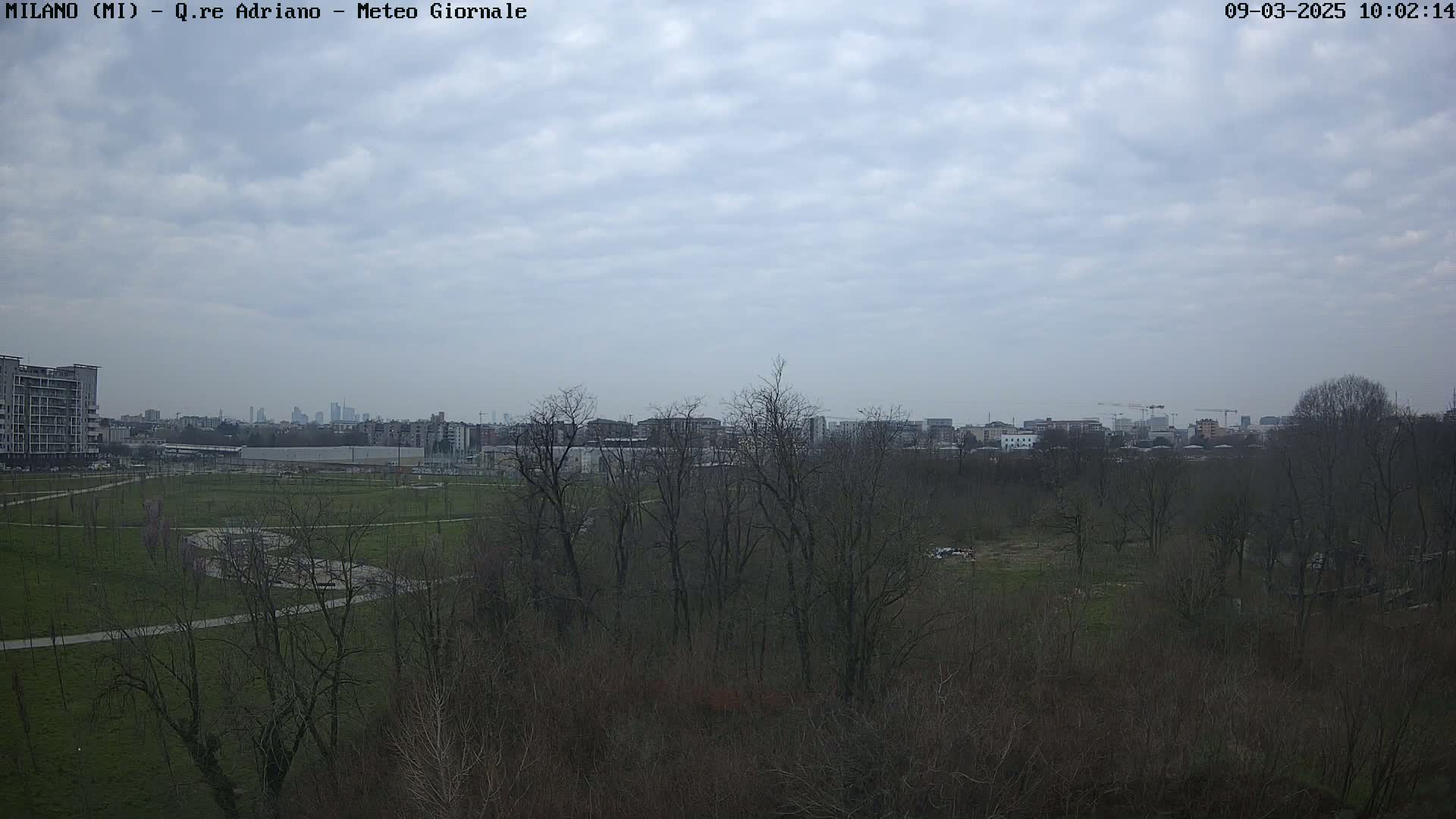 A view of a park with leafless trees under a cloudy sky, showing a city skyline in the distance.