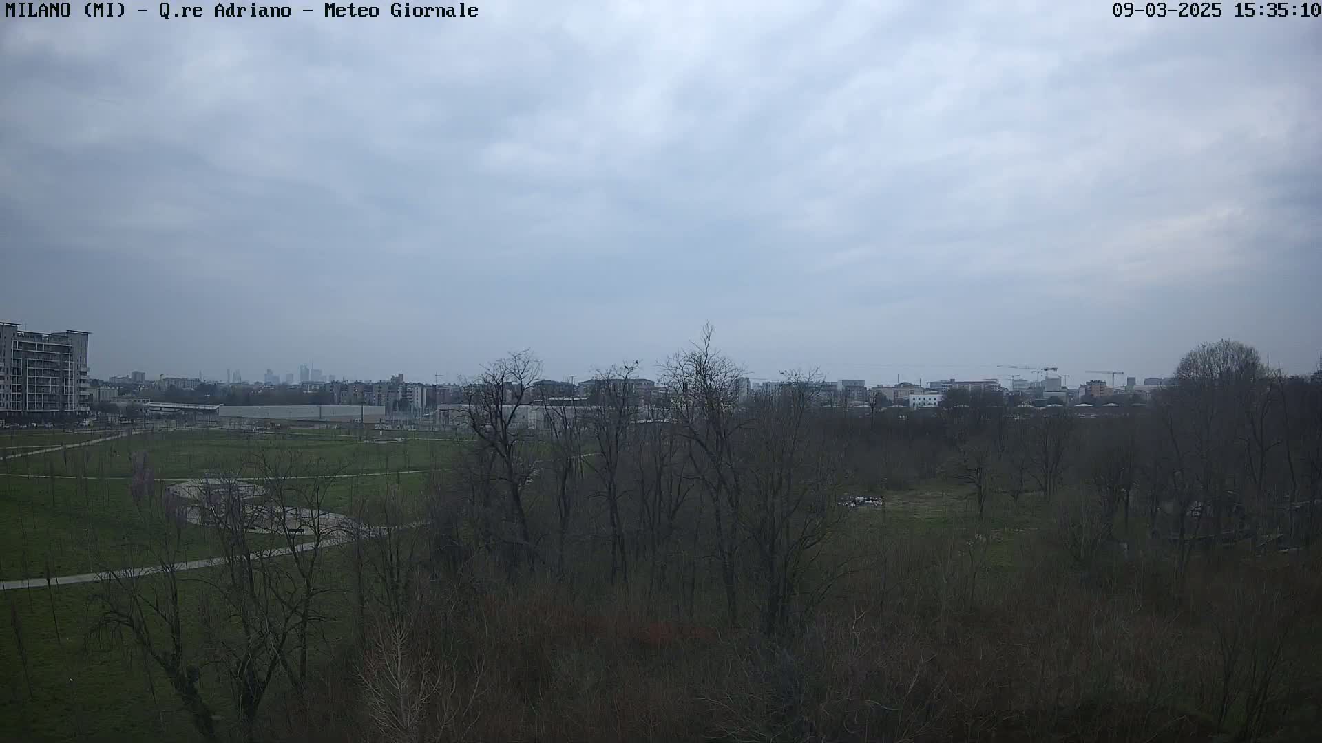 A view of a park with bare trees and a cityscape in the distance under a cloudy sky.