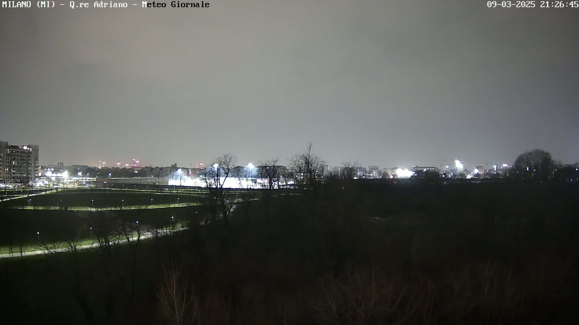 A nighttime view of a city skyline across a dark, sparsely vegetated park under a cloudy sky.