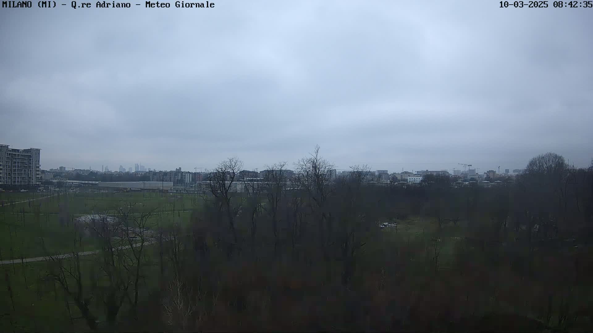 A view of a park with bare trees under an overcast sky, showing a cityscape in the distance.