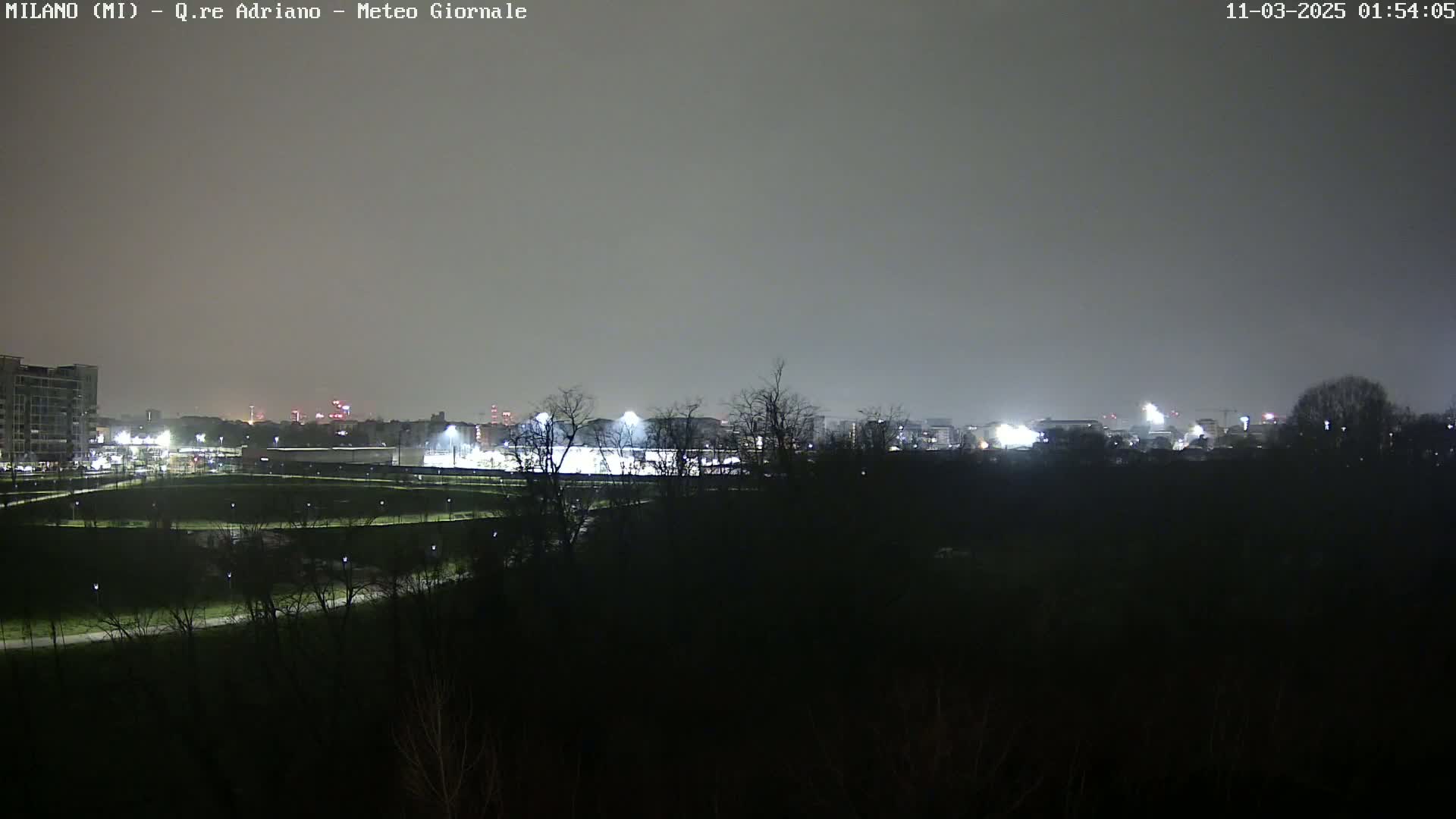 A nighttime view of a city skyline and a brightly lit sports field, partially obscured by dark trees and a hazy, overcast sky.