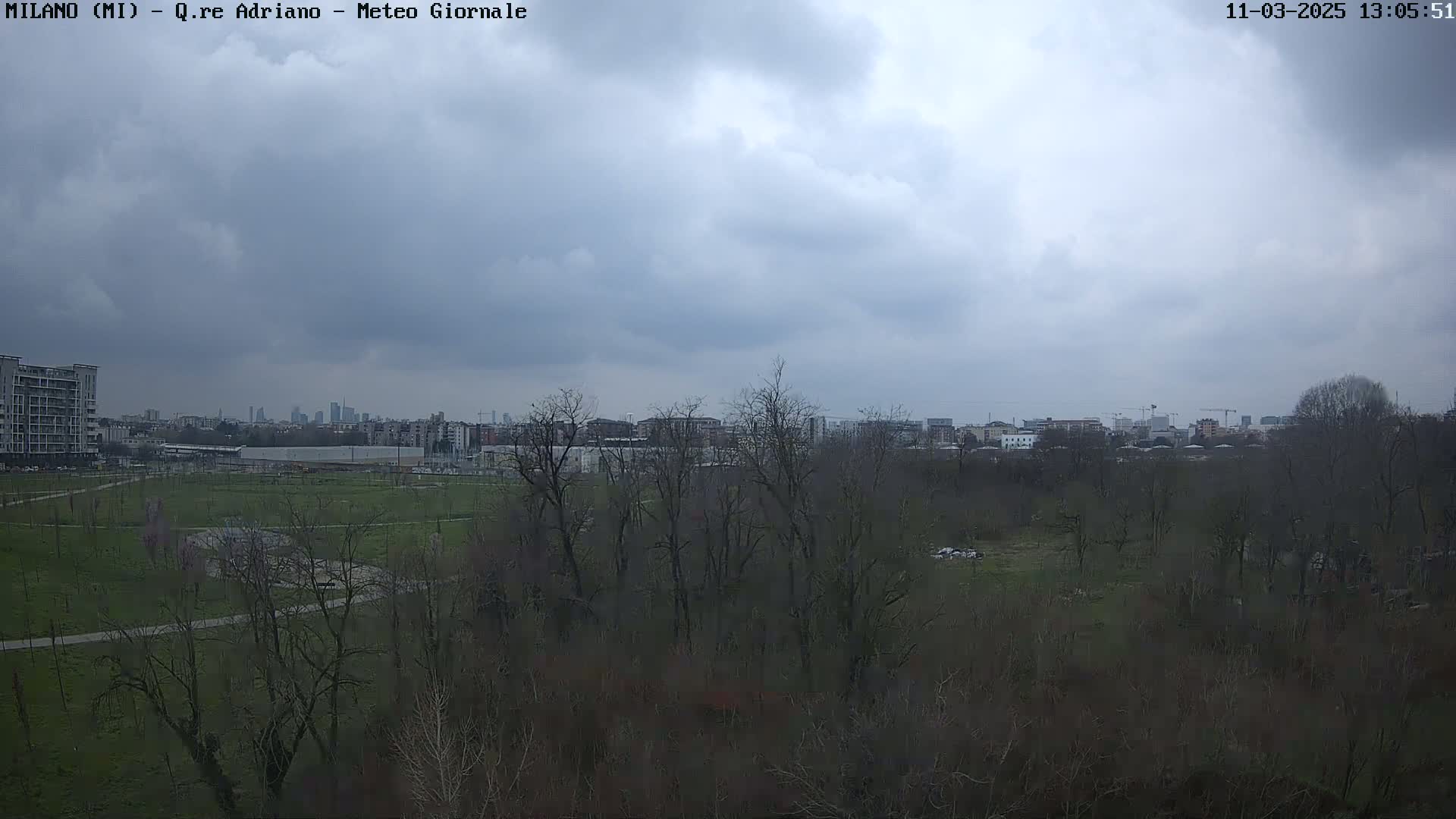 A view of a park and city skyline under a cloudy sky.