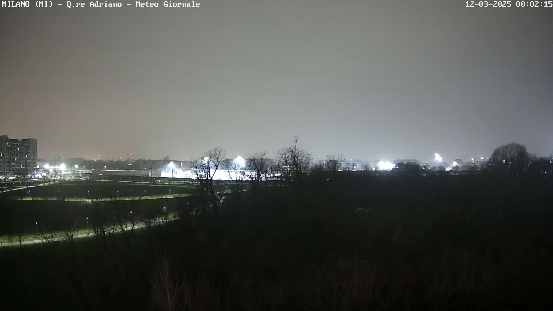 A nighttime view of a city park, illuminated by artificial lights, under a hazy, overcast sky.