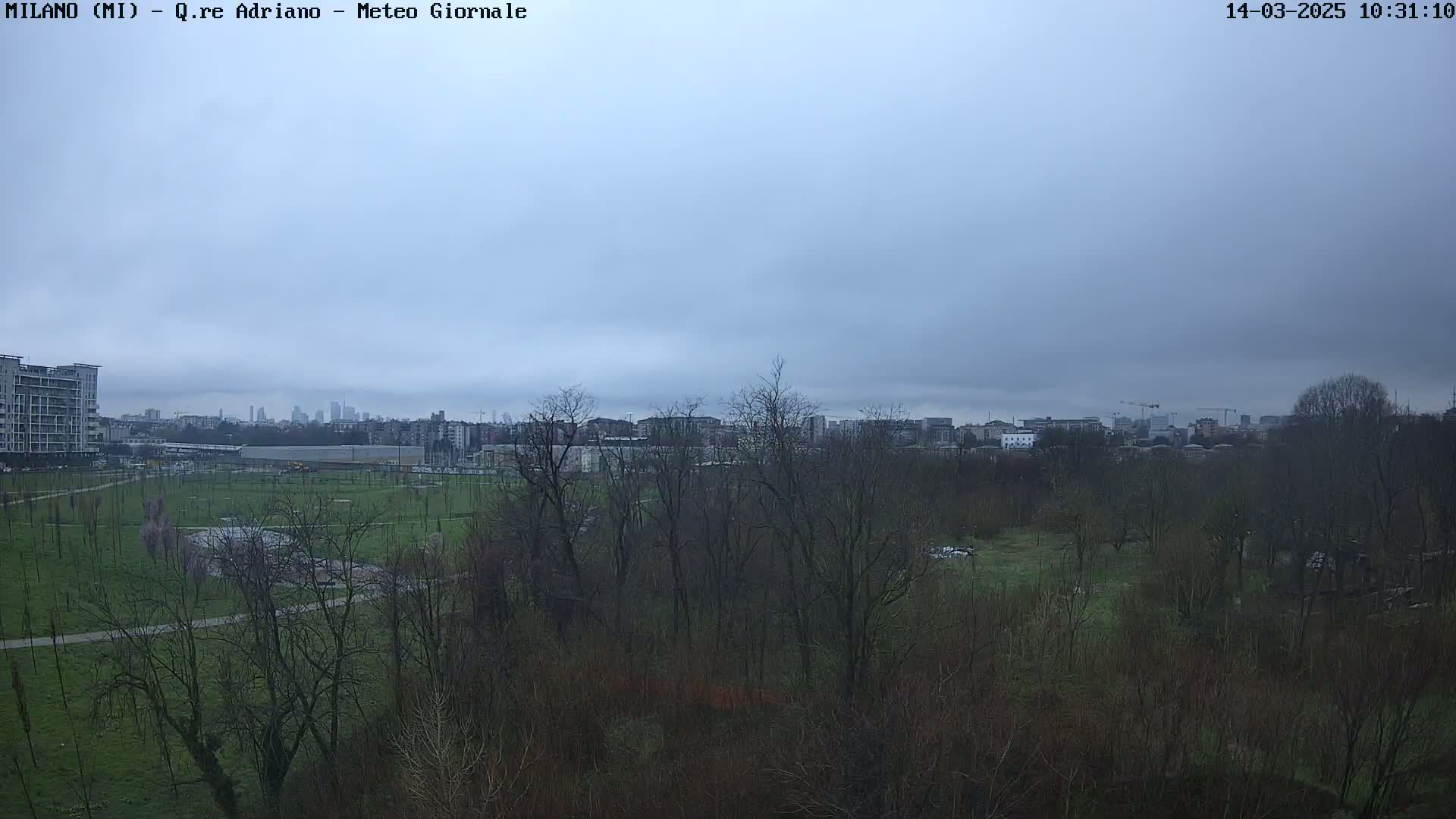 A view of a park and city skyline under an overcast sky.