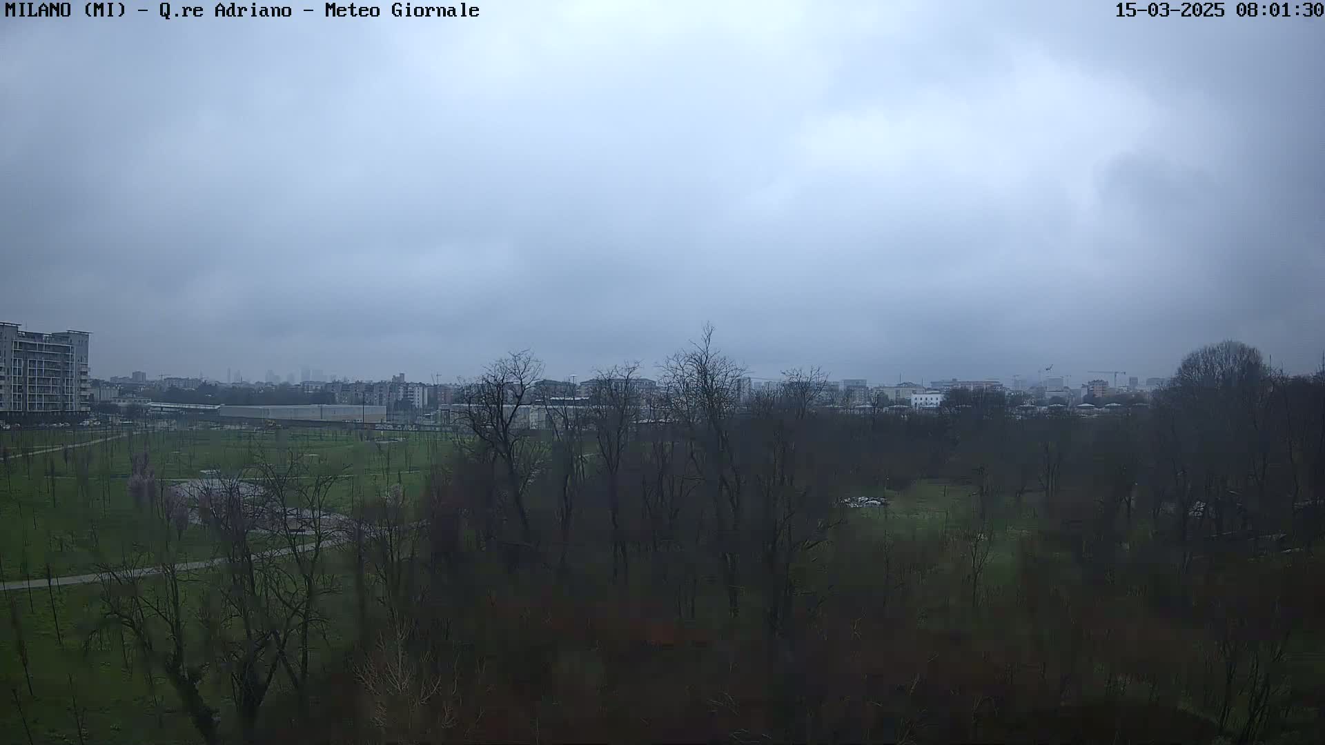 A view of a park with leafless trees and buildings in the distance under an overcast sky.
