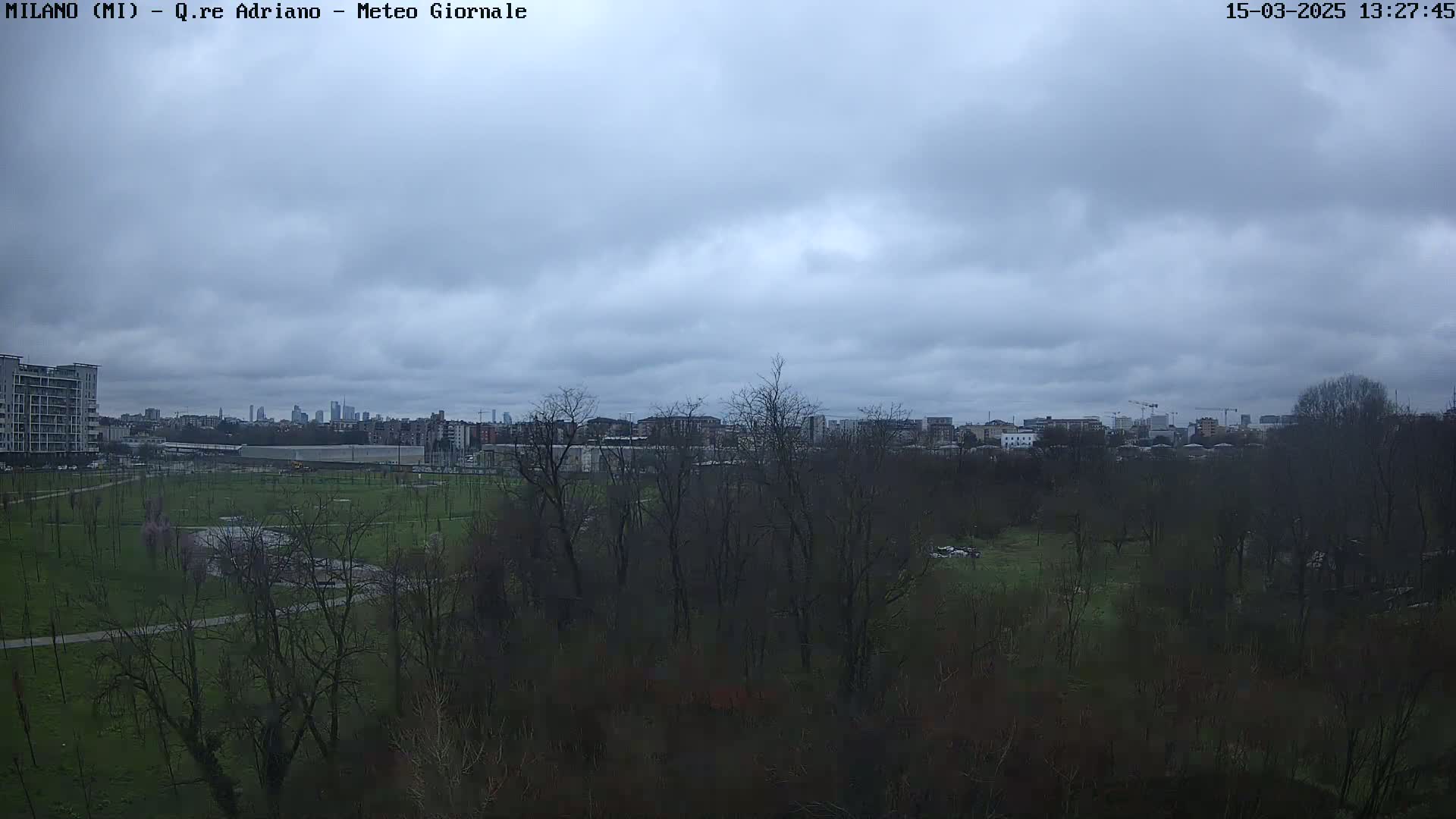 A view of a park with leafless trees under an overcast sky, showing a cityscape in the distance.