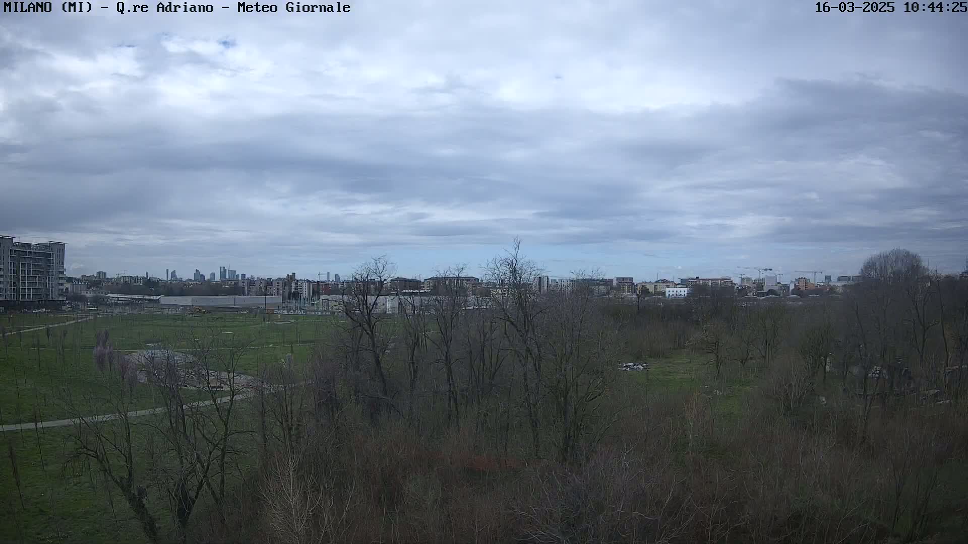 A view of a park with leafless trees under a cloudy sky, showing a cityscape in the distance.