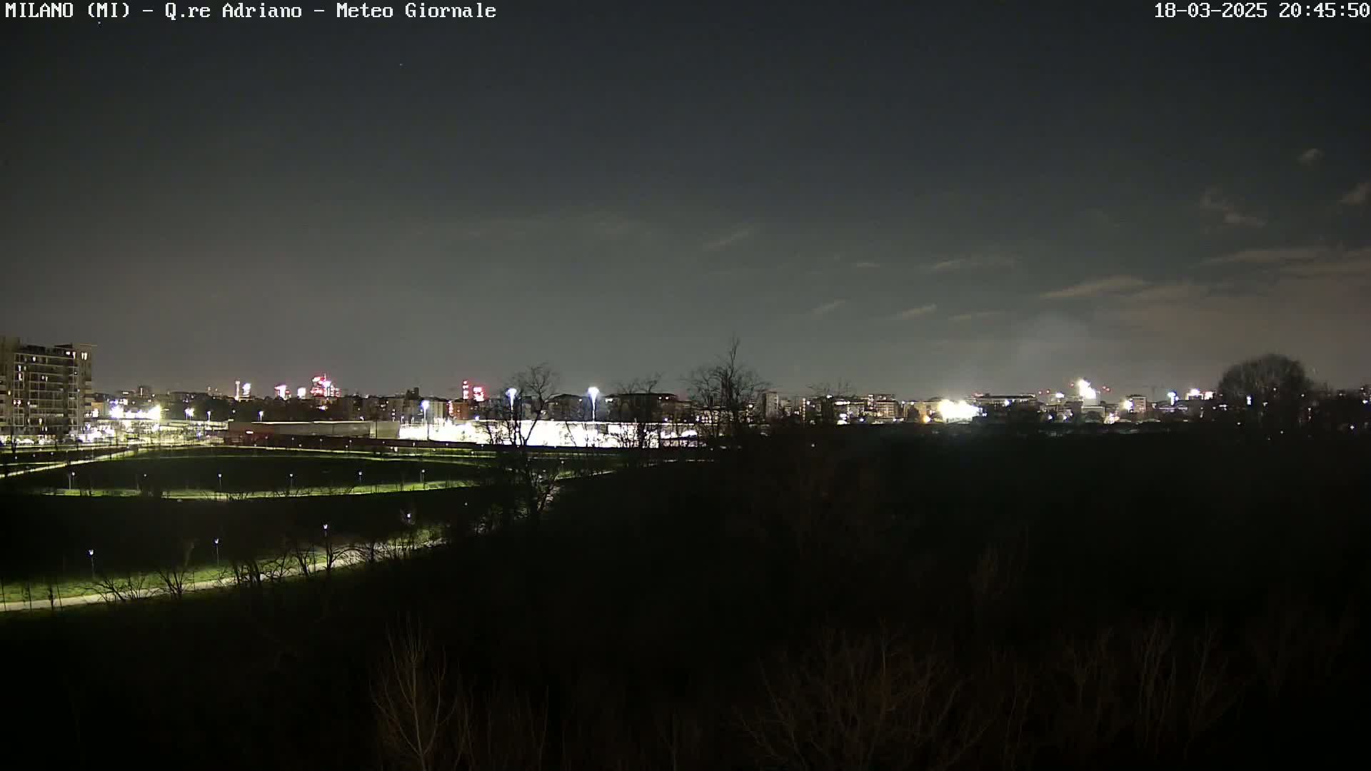 A nighttime view of a city skyline, partially obscured by dark trees and shrubs, under a mostly clear sky.