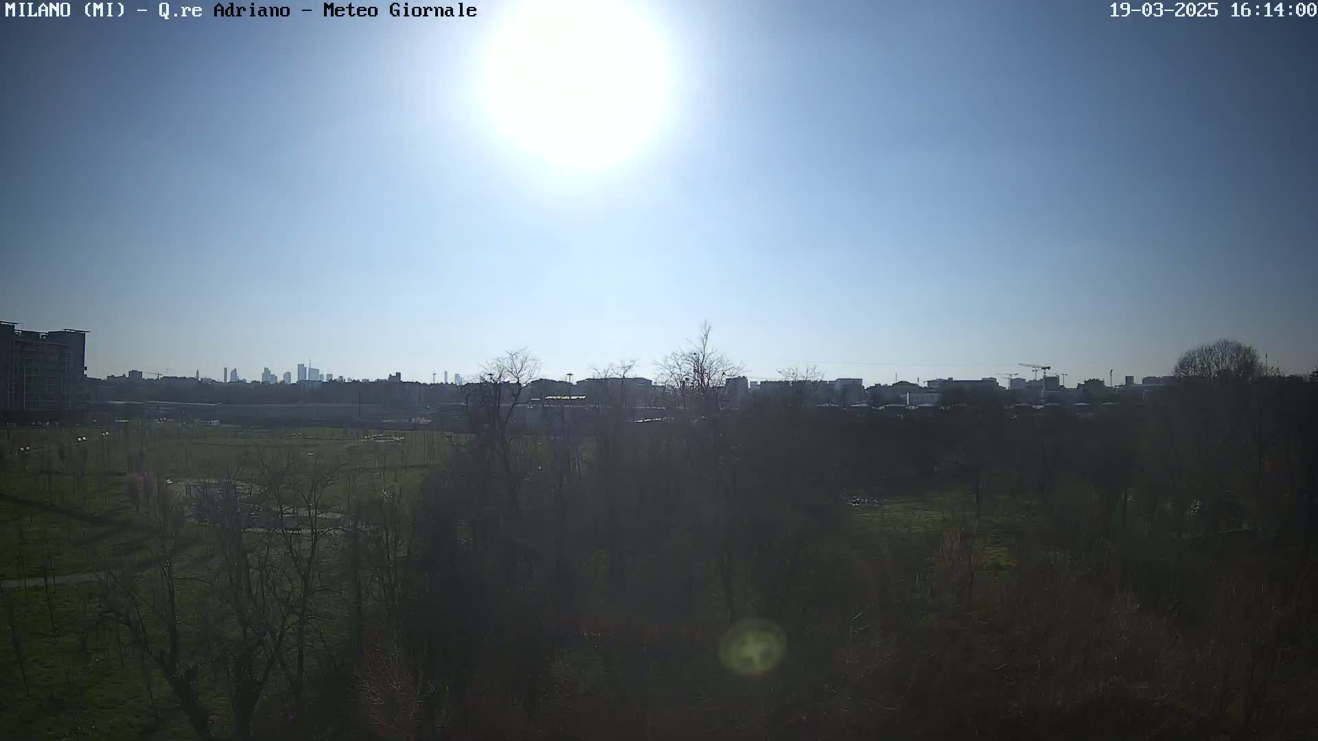 A sunny day reveals a cityscape in the distance, partially obscured by a foreground of leafless trees and a grassy field.