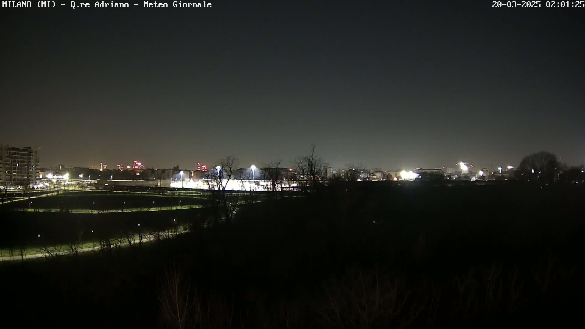 A nighttime view of a city skyline, illuminated by artificial lights, seen from across a dark, sparsely vegetated area under a clear, dark sky.