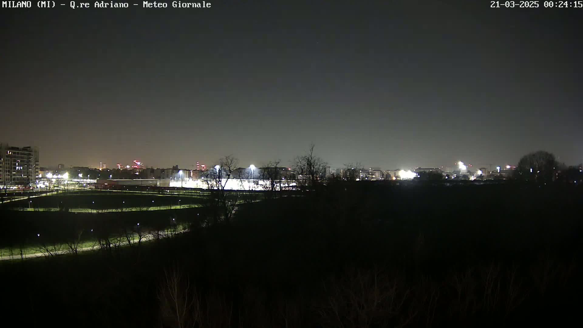 A nighttime view of a city skyline partially obscured by dark trees and shrubbery, illuminated by distant lights and floodlights on a field.