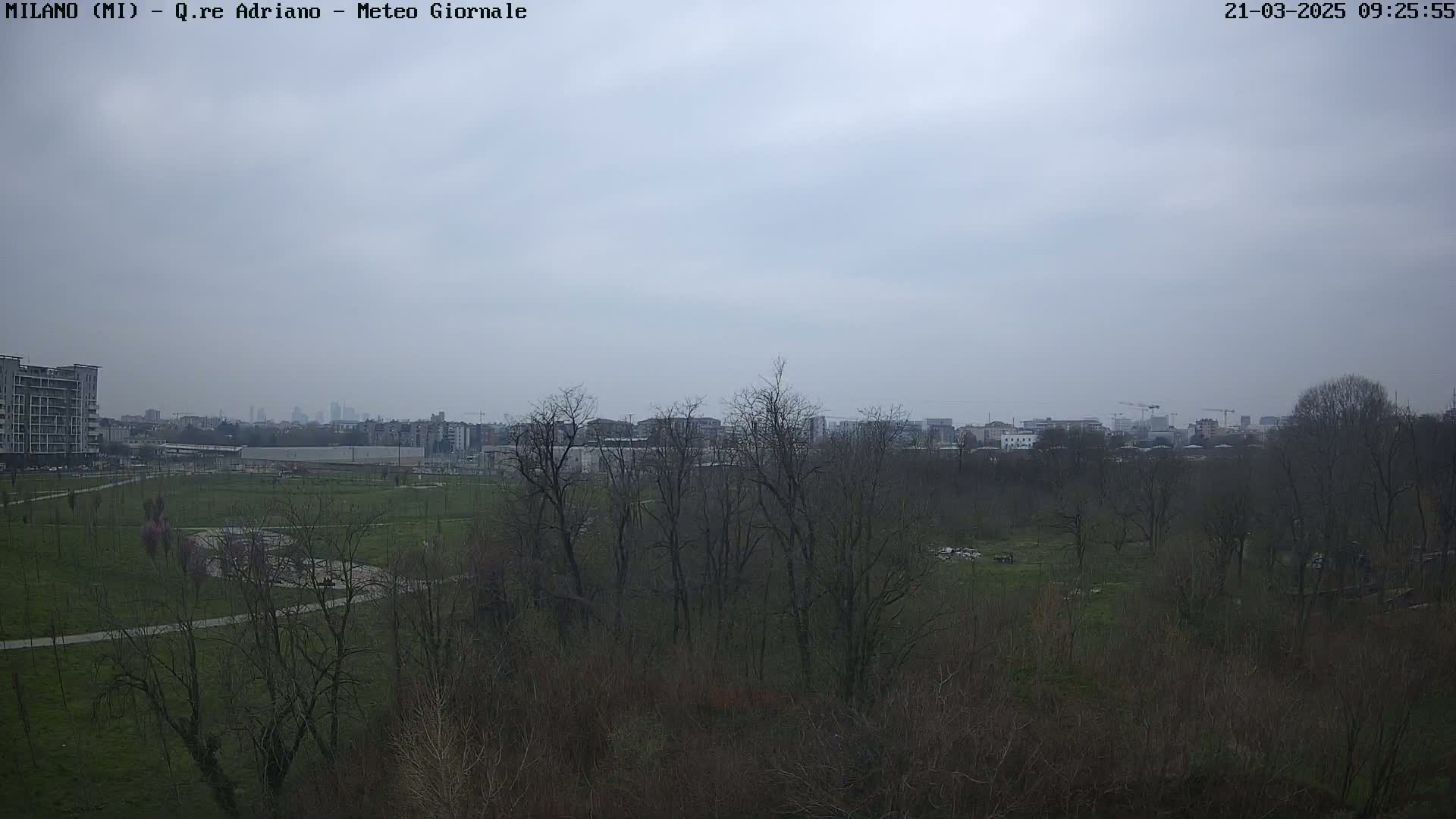 A view of a park with bare trees under an overcast sky, showing buildings and a cityscape in the distance.