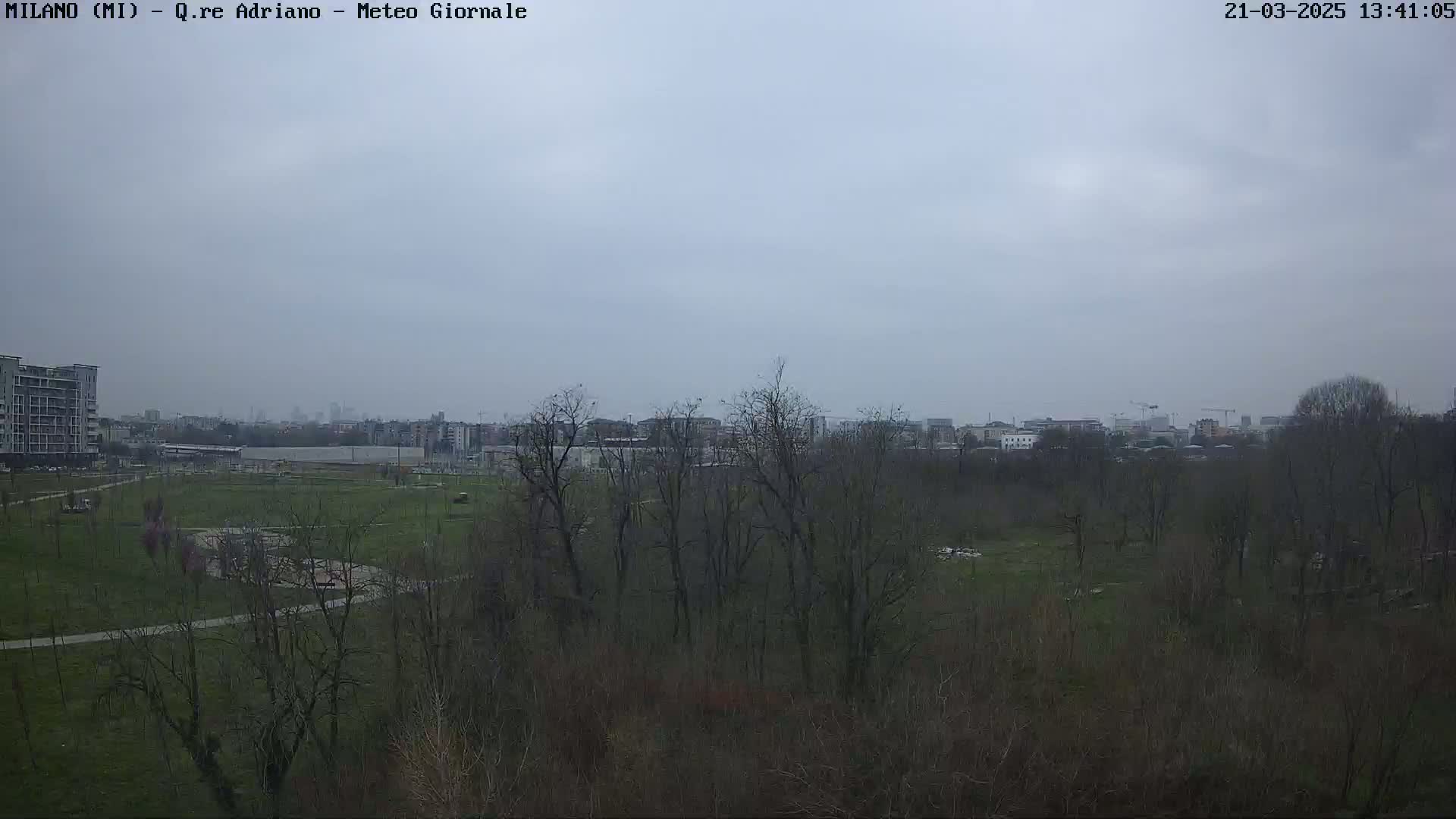 A view of a park with bare trees and a city skyline in the distance under an overcast sky.