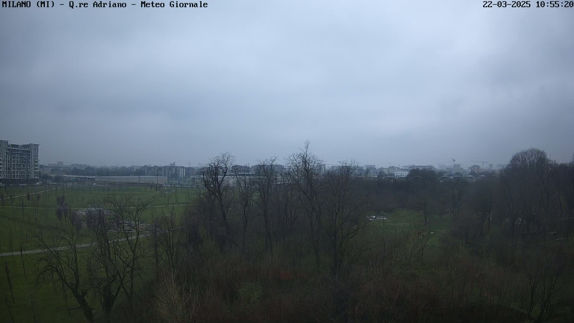 A mostly cloudy day reveals a park with leafless trees, a grassy field, and buildings in the distance.