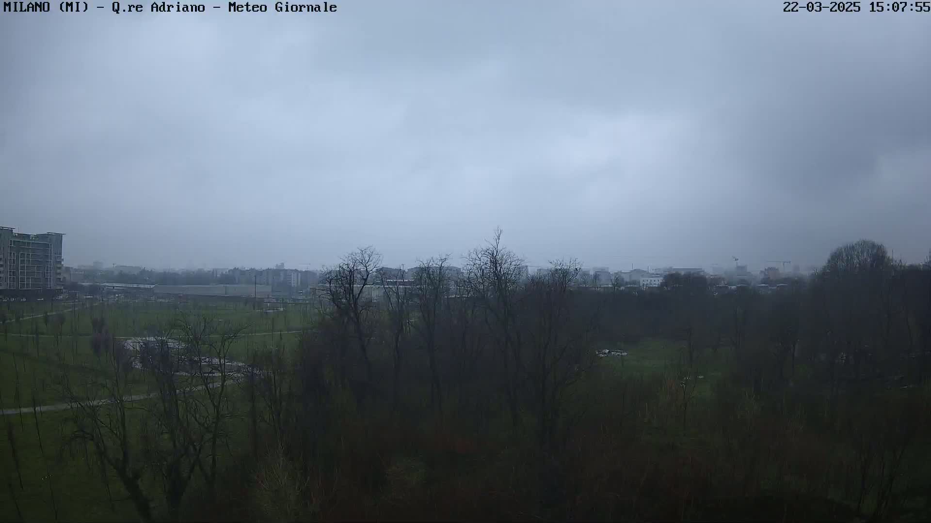 A view of a park with leafless trees and distant buildings under an overcast sky.
