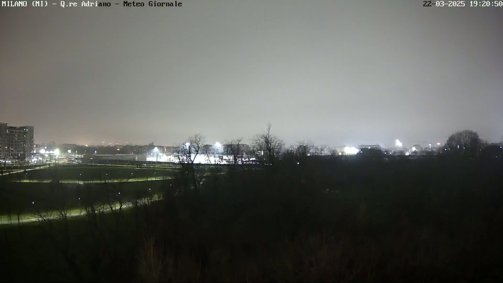 A nighttime view of a city landscape under a hazy sky, showing illuminated buildings and a field with trees in the foreground.