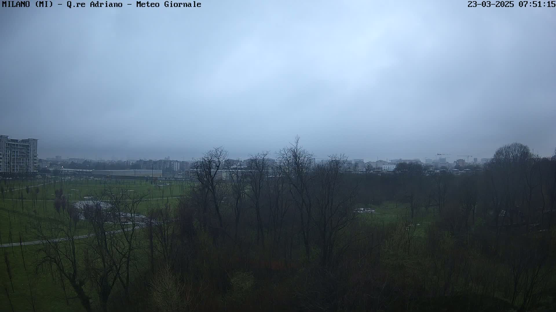 A hazy, overcast day reveals a view of a park with bare trees, a grassy field, and distant buildings.