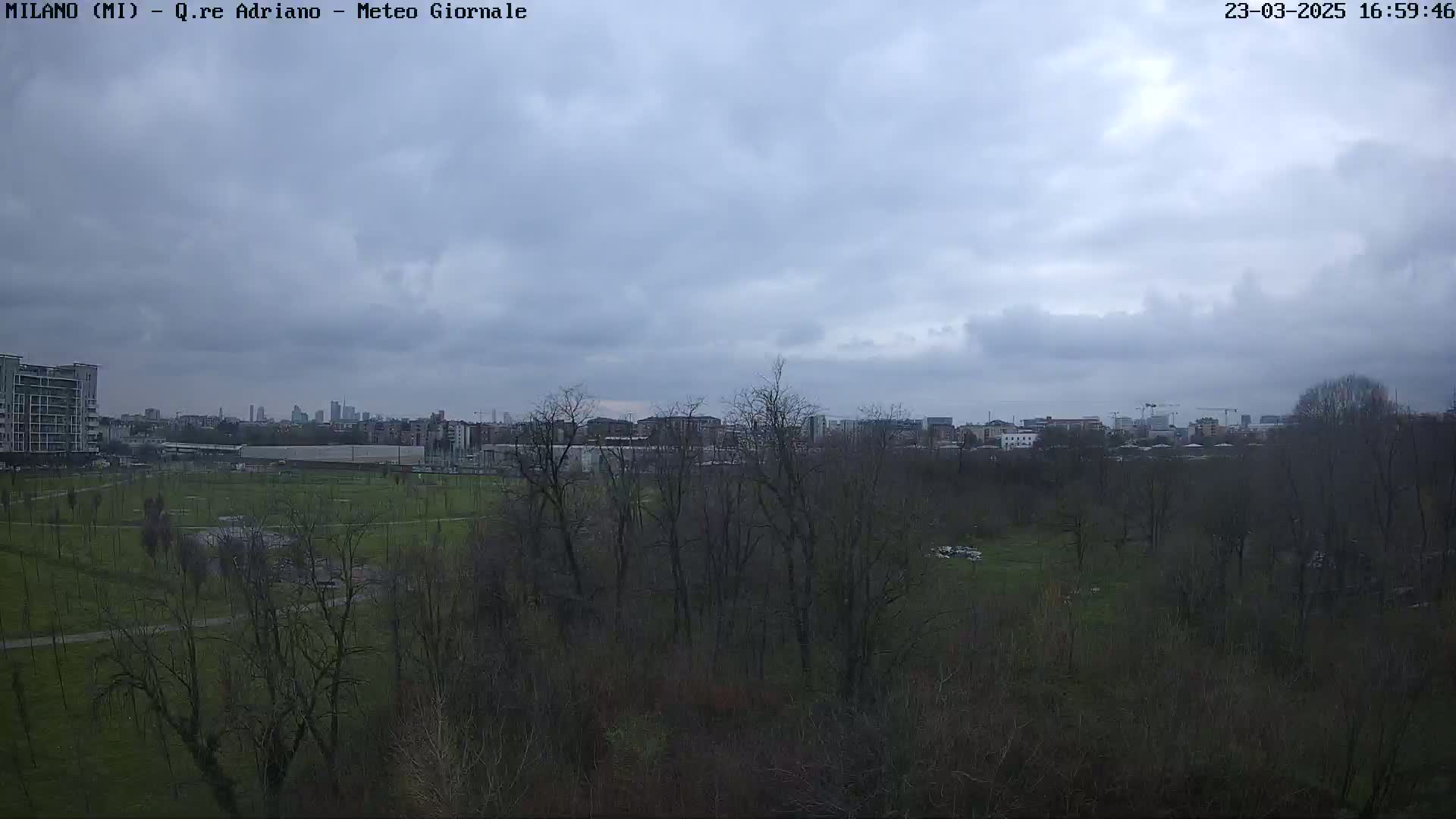 A view of a city skyline under an overcast sky, seen from across a mostly bare, wintery park.