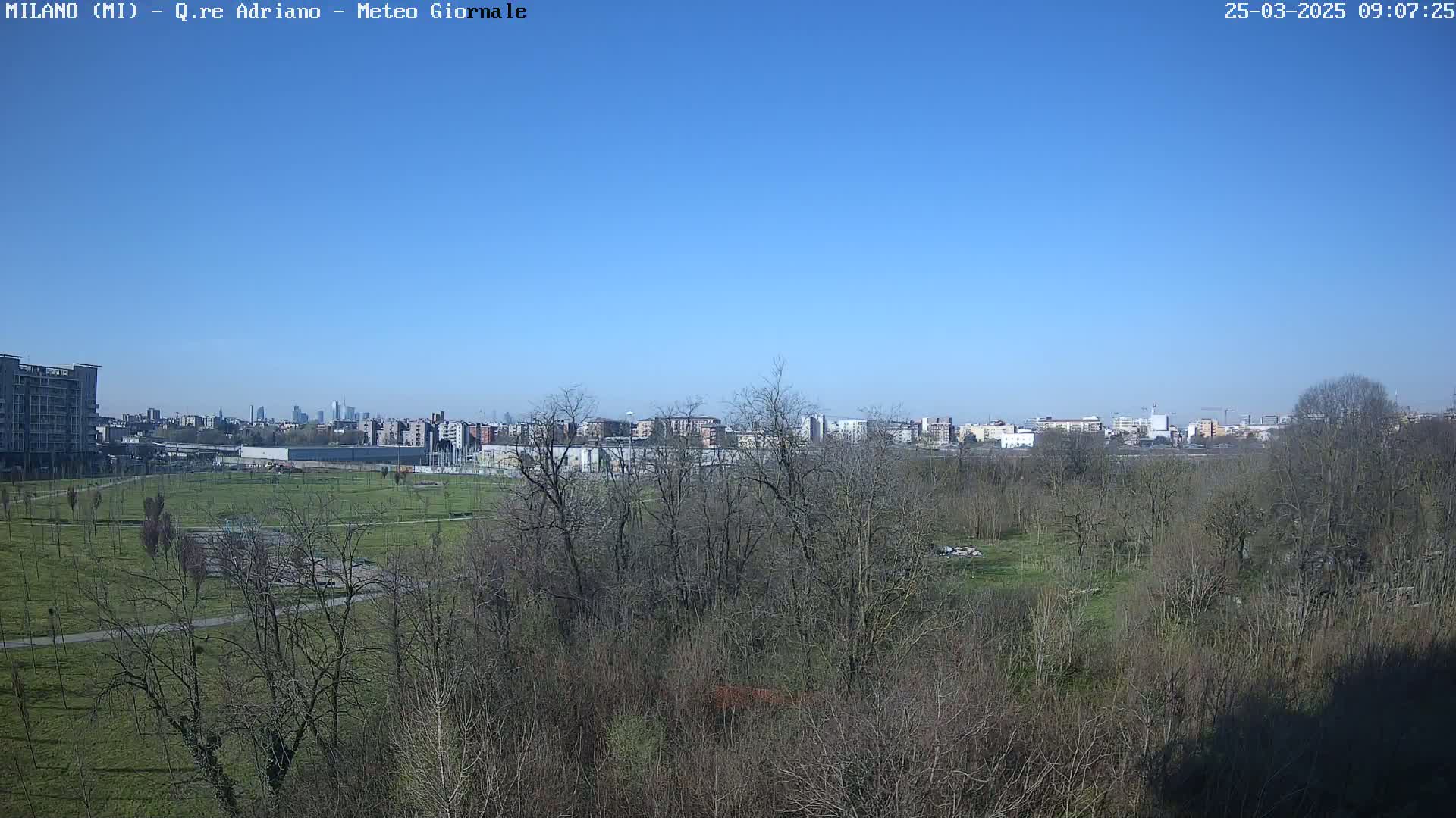 A view of a park with leafless trees under a clear blue sky, showing a cityscape in the distance.