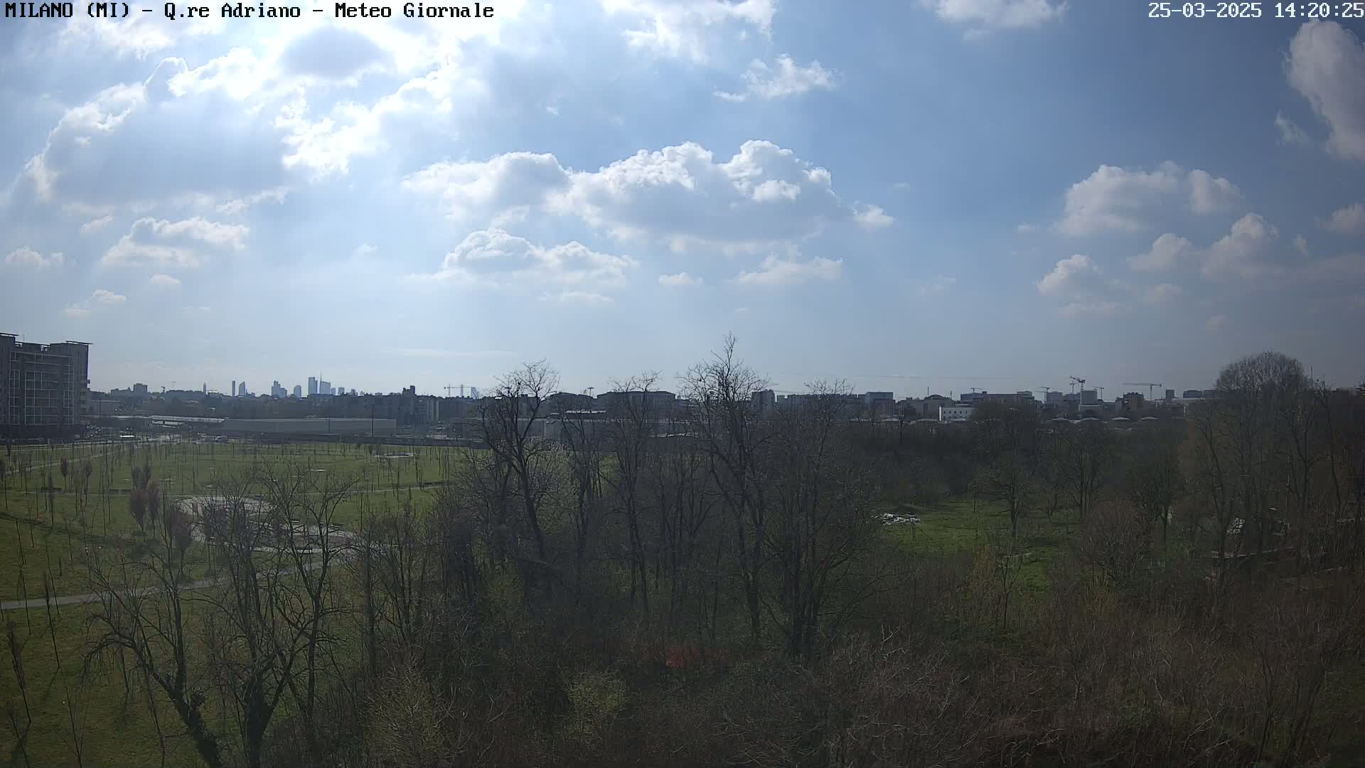 A partly sunny day reveals a cityscape in the distance beyond a mostly bare, park-like area with trees and grassy fields.