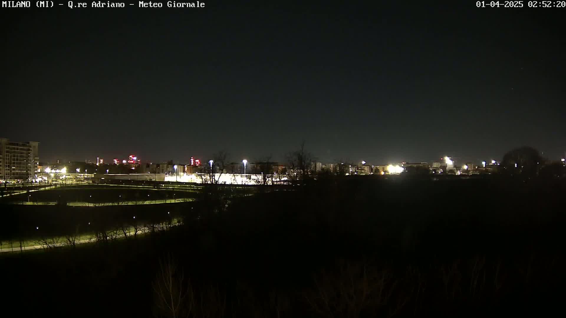 A nighttime view of a city skyline partially obscured by dark trees and shrubs, under a clear, dark sky.