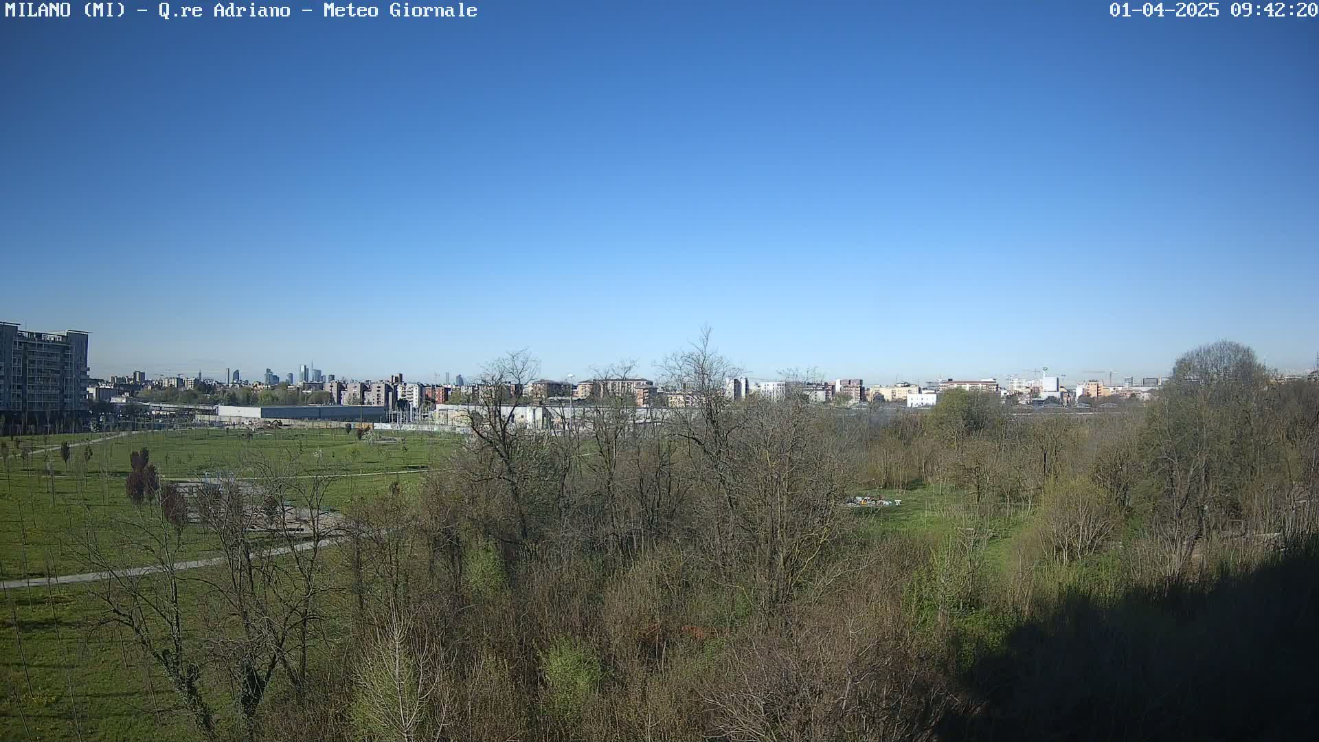 A clear blue sky overlooks a park with leafless trees and patchy green grass, beyond which lies a cityscape in the distance.