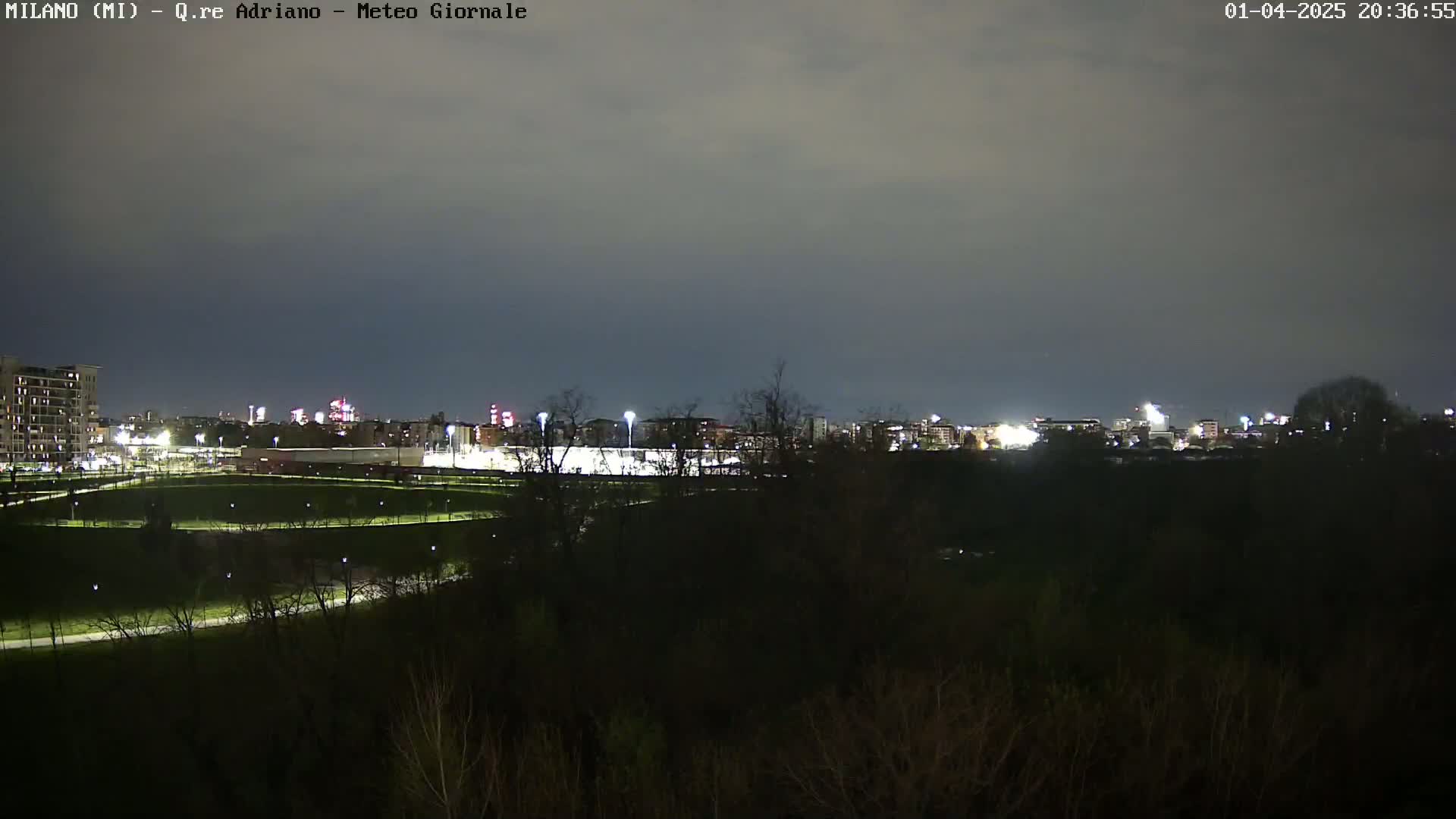 A nighttime view of a city skyline across a dark, tree-lined park under a mostly cloudy sky.