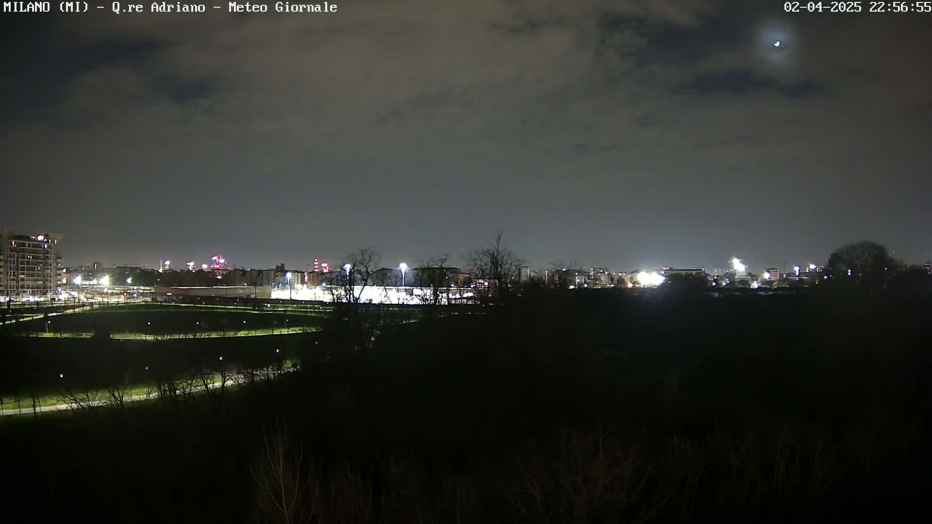 A nighttime view of a city skyline partially obscured by trees and a dark, cloudy sky.