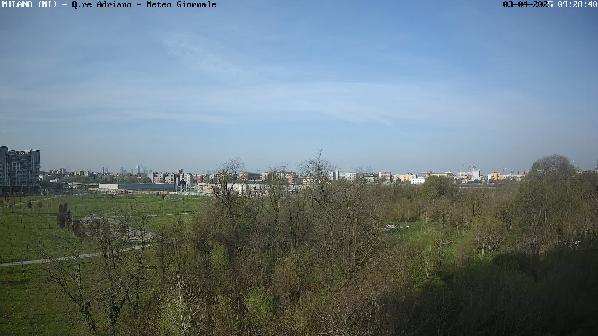 A mostly sunny day shows a cityscape in the distance, partially obscured by a swath of leafless trees and green grass in the foreground.