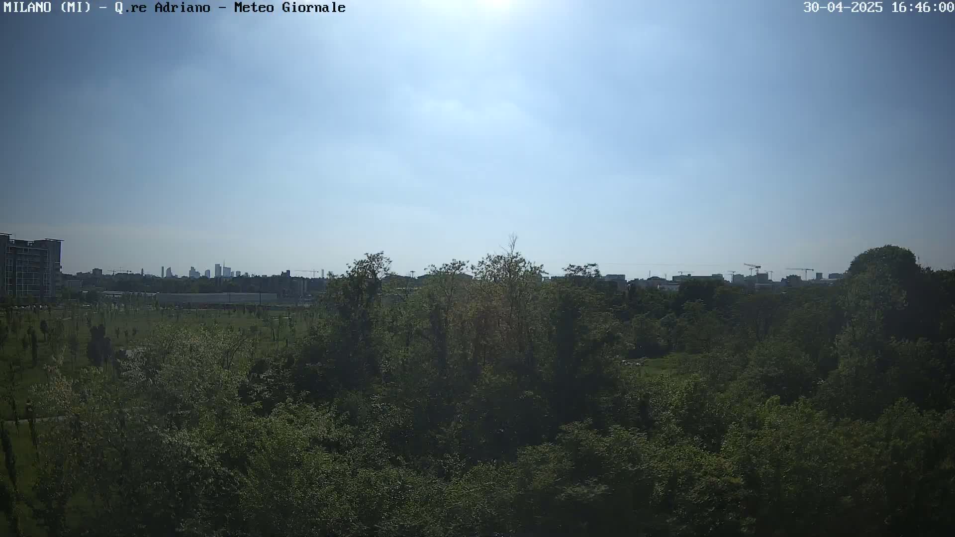A sunny day reveals a cityscape in the distance, partially obscured by a lush green tree line in the foreground.