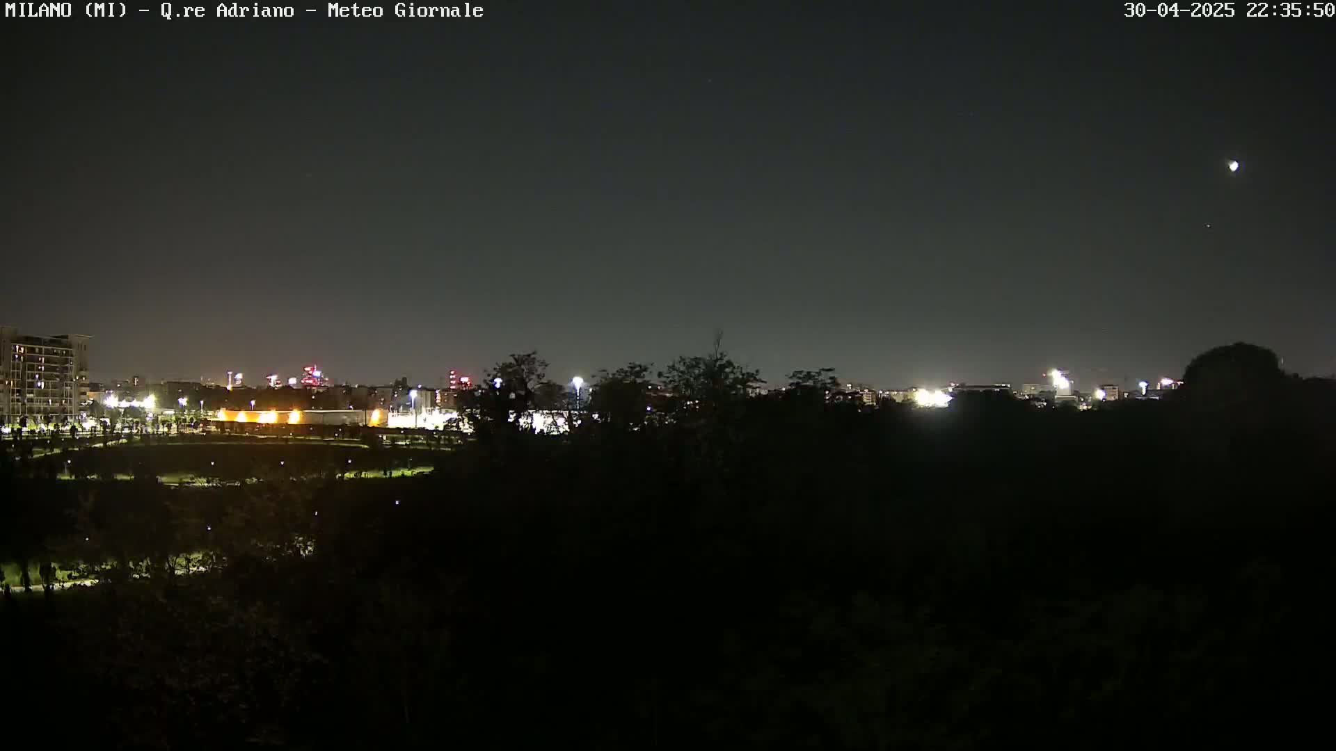 A nighttime view of a city skyline partially obscured by trees under a clear, dark sky.