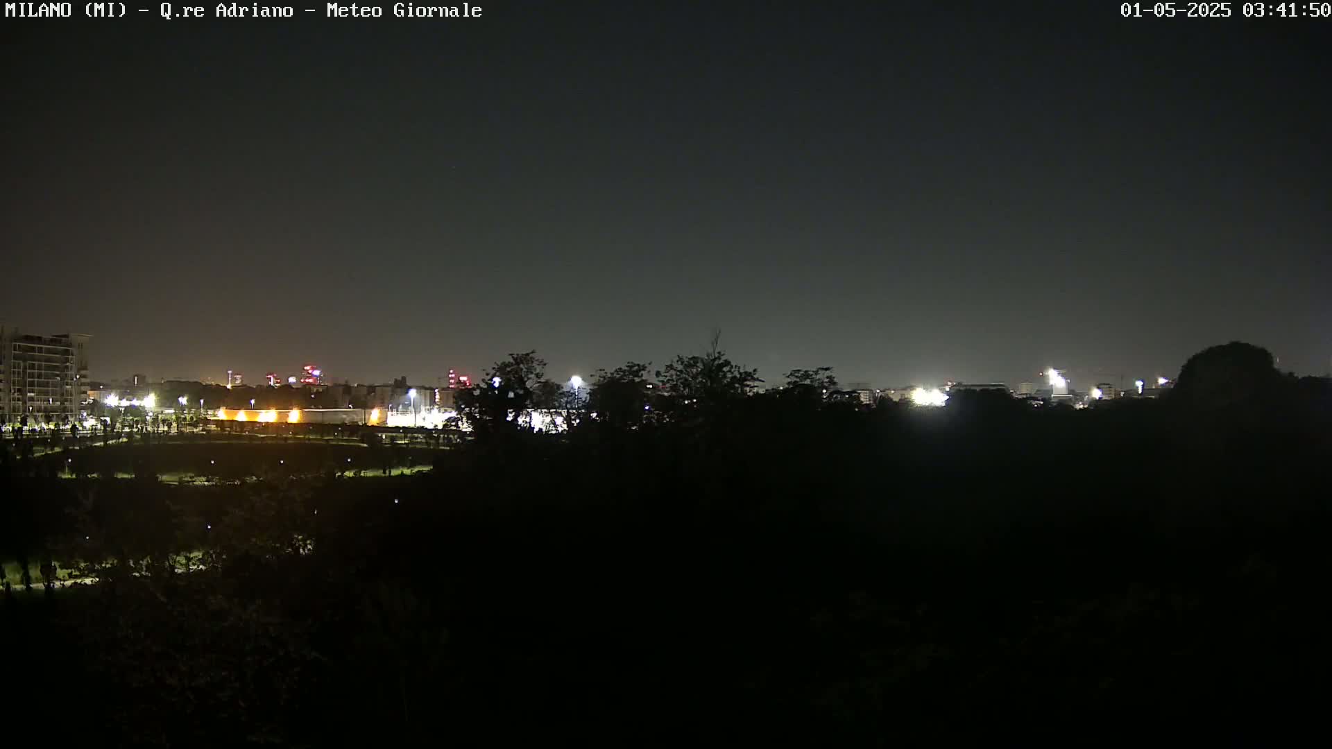 A nighttime view of a city skyline partially obscured by dark trees under a clear, dark sky.