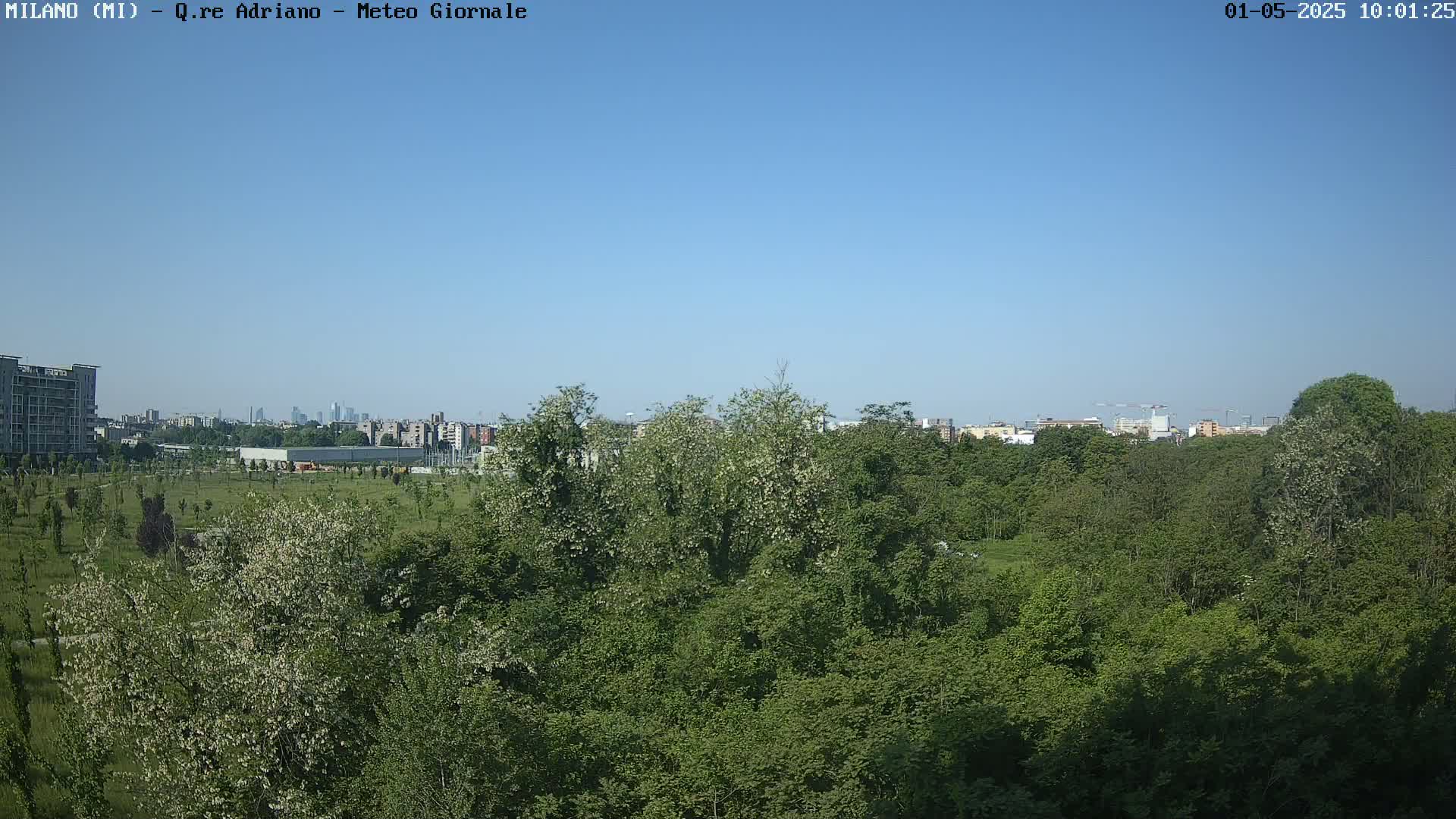 A lush green park with blooming trees stretches towards a distant cityscape under a clear blue sky.