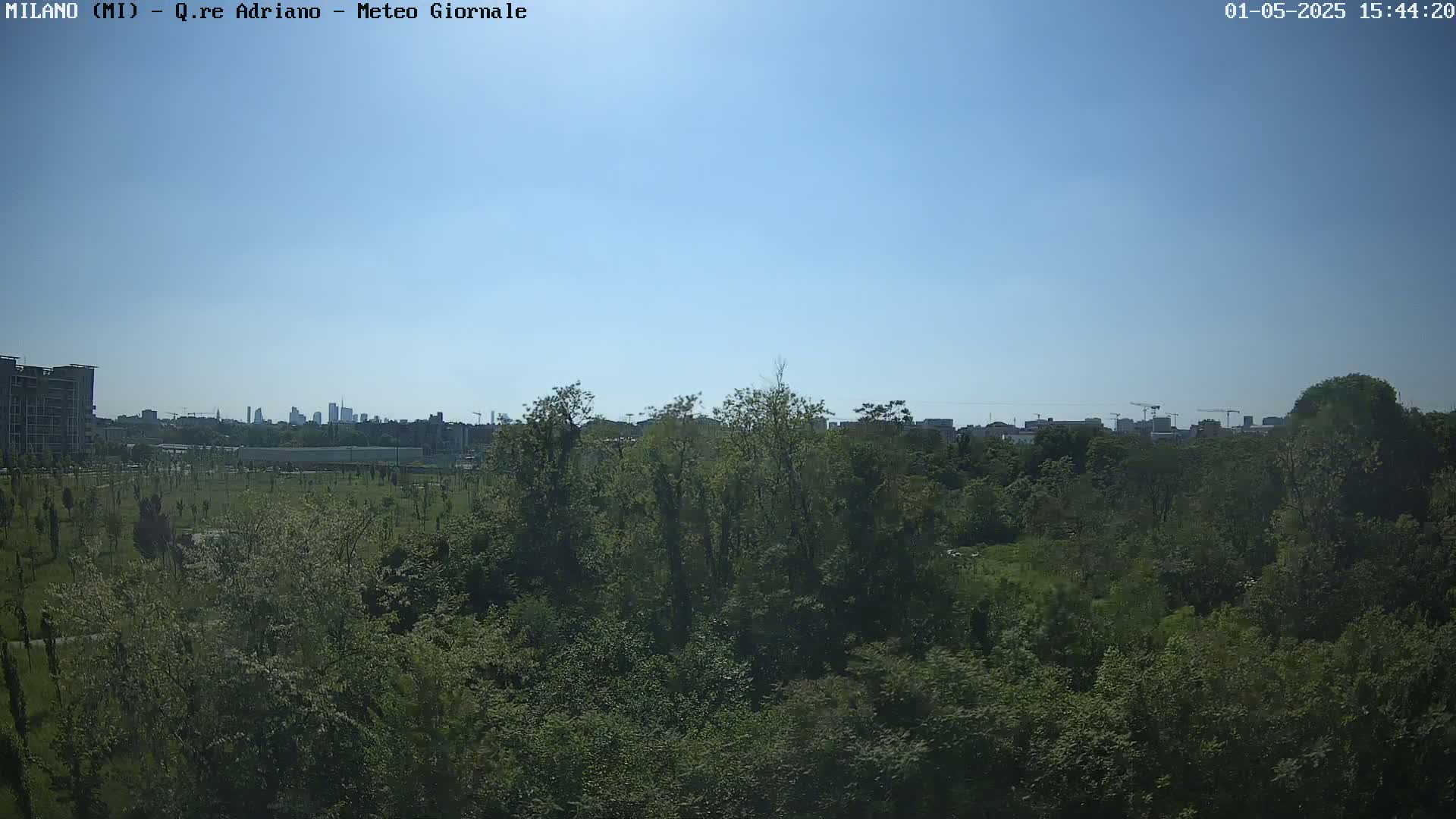 A lush green expanse of trees and parkland stretches toward a distant cityscape under a clear blue sky.