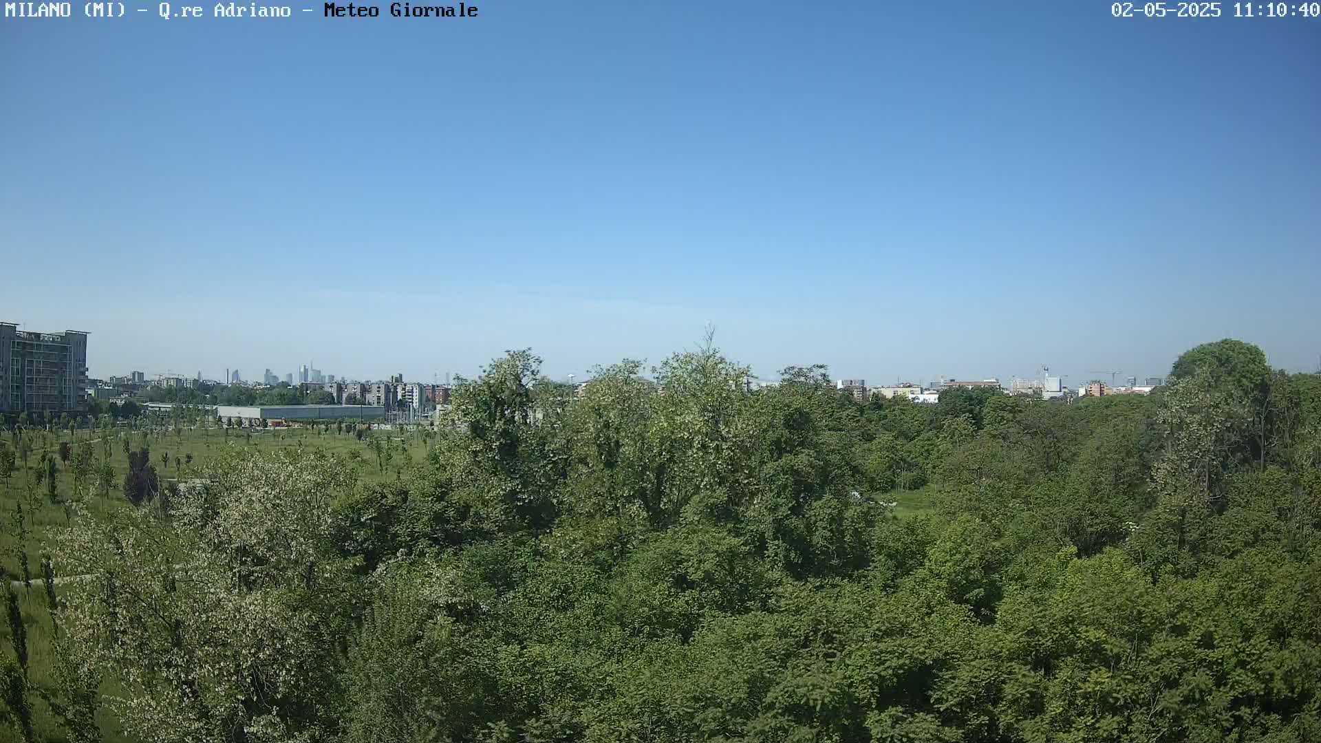 A lush green park with a city skyline visible in the distance under a clear blue sky.