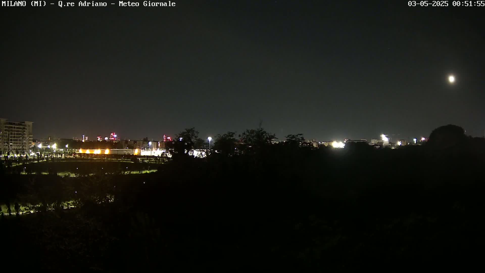 A nighttime view of a city skyline partially obscured by dark trees and vegetation under a clear, moonlit sky.