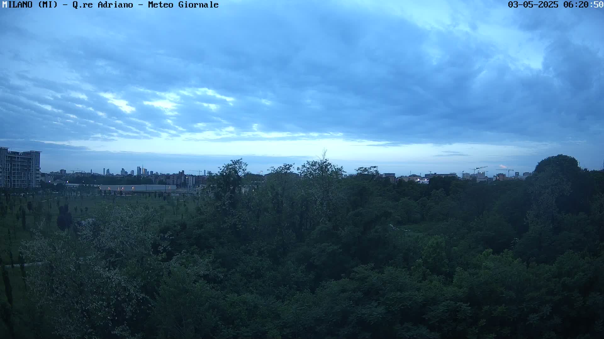 A city skyline is visible in the distance beyond a dense, green forest under a mostly cloudy, blue twilight sky.