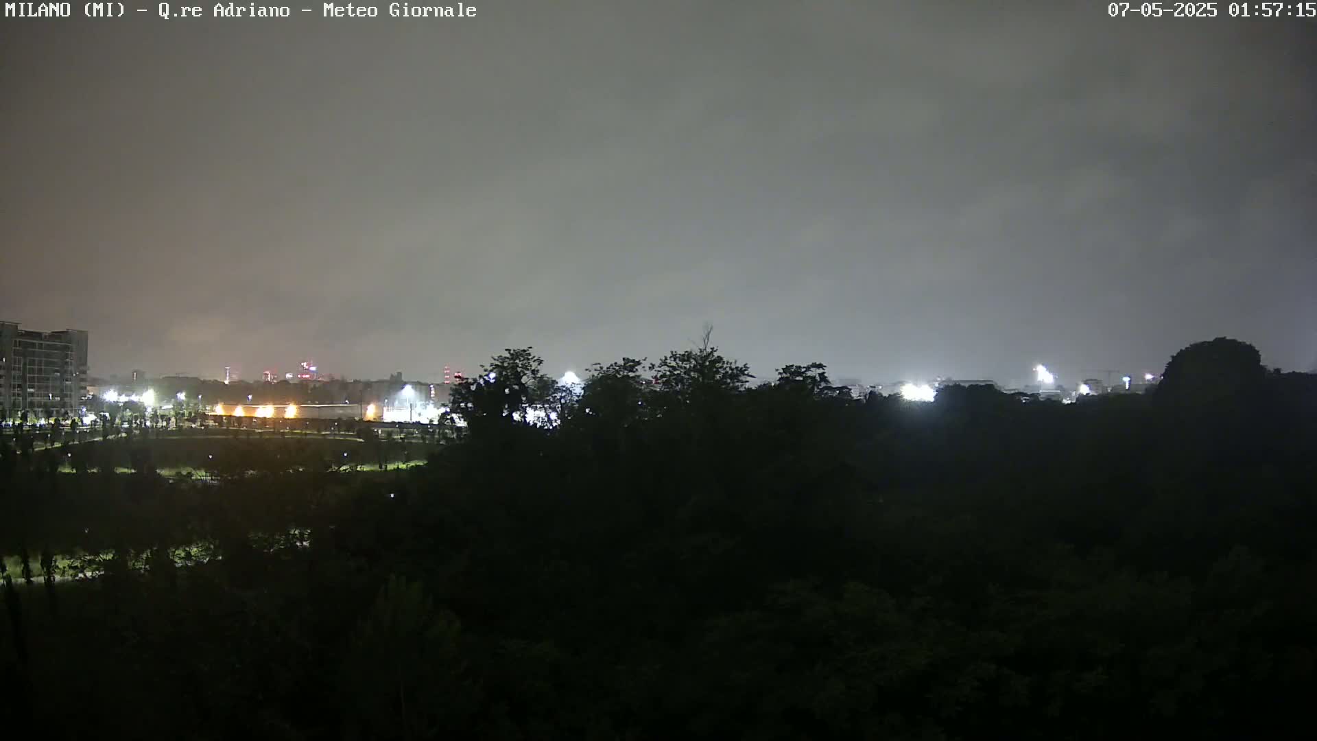A nighttime view of a city skyline partially obscured by a dark line of trees under an overcast sky.
