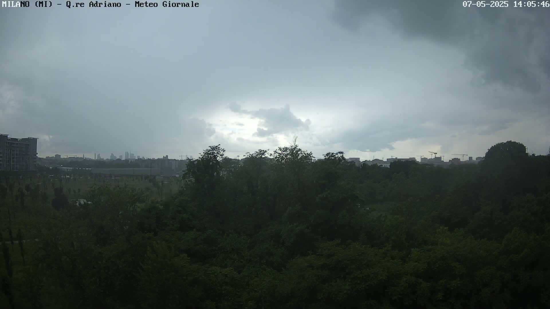 A city skyline is visible in the distance beyond a dense, dark green forest under an overcast, gray sky.