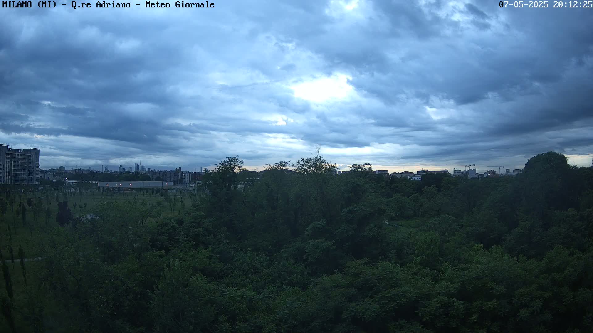 A city skyline is visible beyond a dense, dark green forest under a mostly cloudy, dusky blue sky.