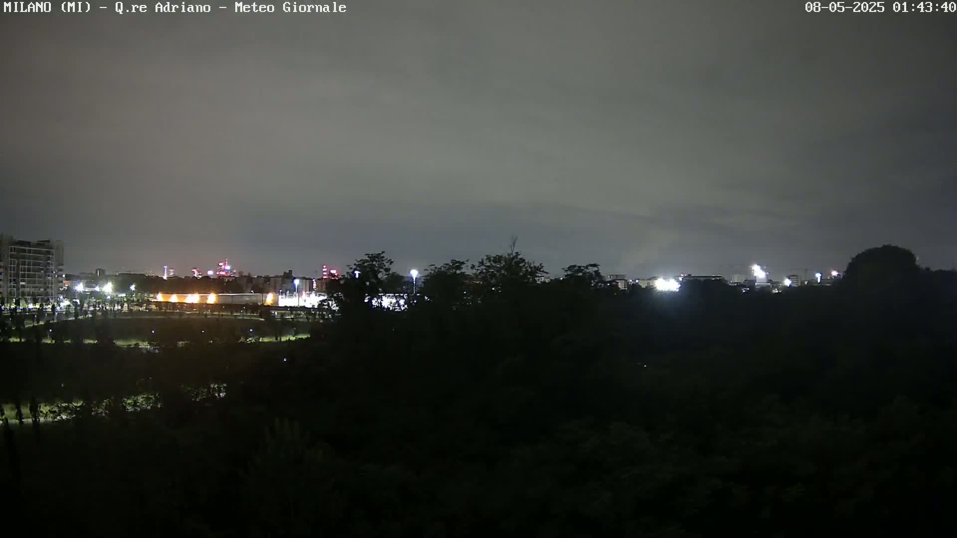 A nighttime view of a city skyline across a dark expanse of trees under a cloudy sky.