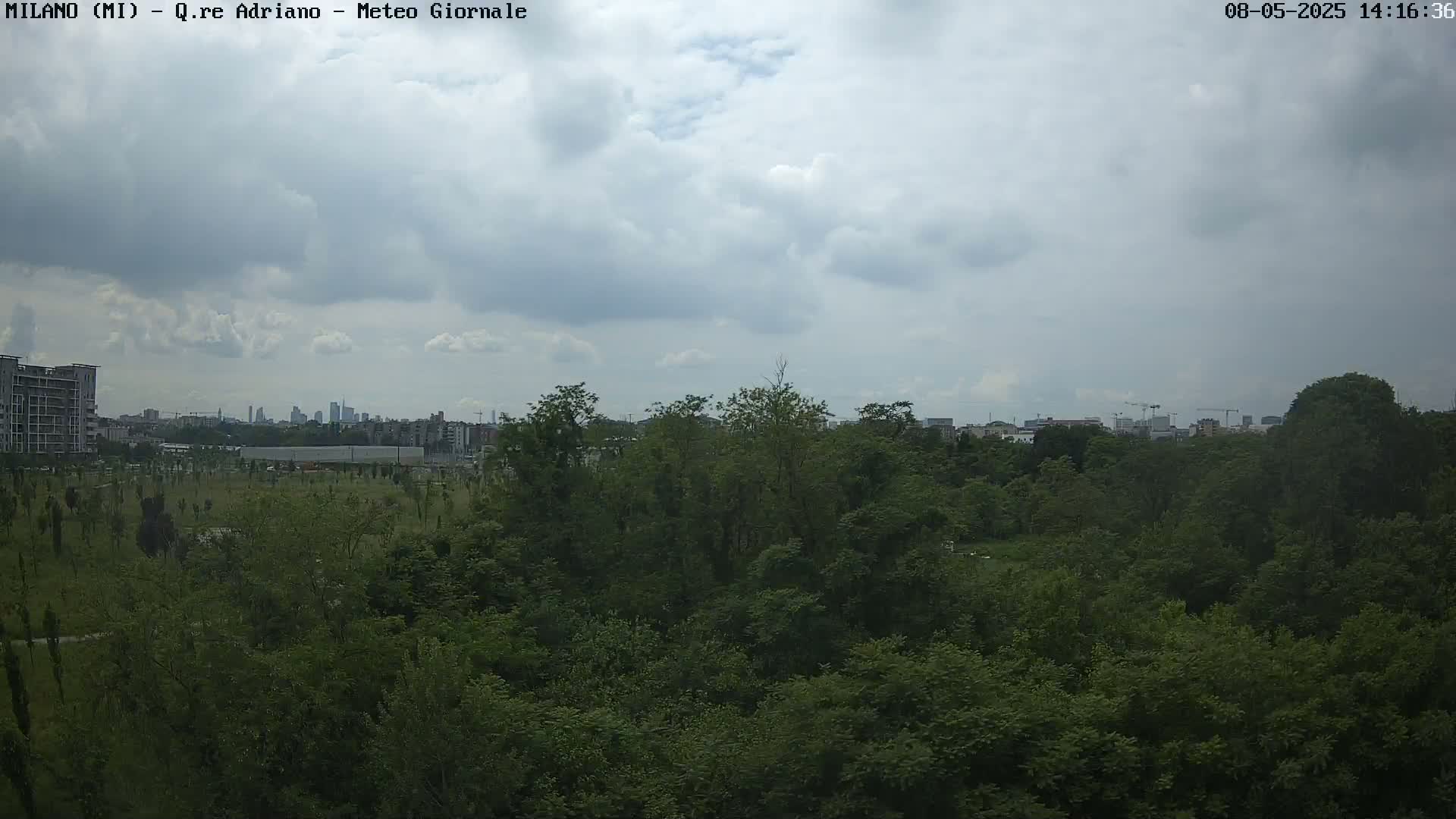 A city skyline is visible in the distance beyond a large expanse of green trees under a cloudy sky.