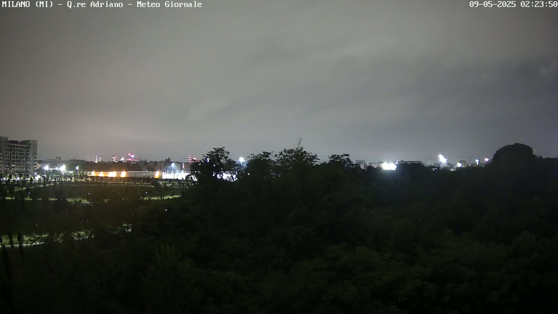 A nighttime view shows a city skyline dimly lit under an overcast sky, partially obscured by a dark foreground of trees and a park.