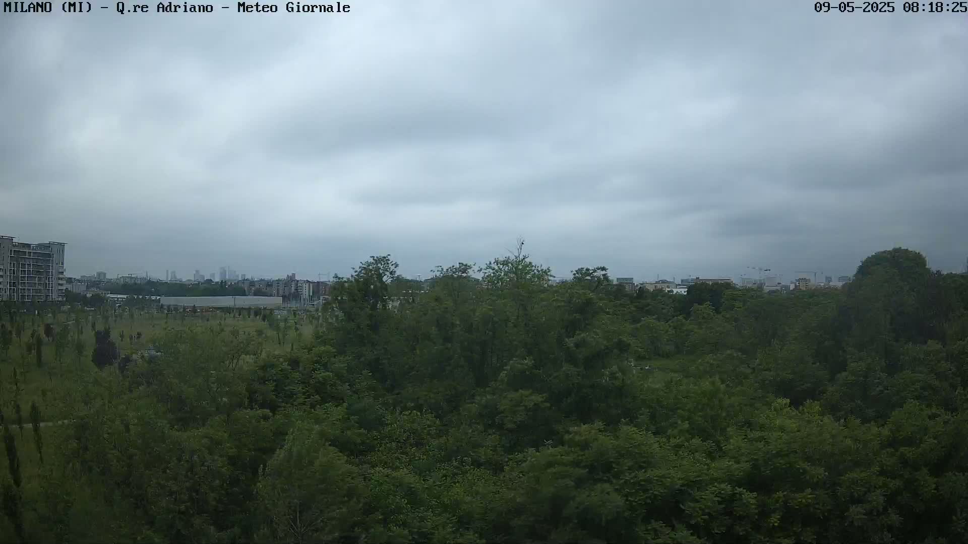 A view of a lush green park with buildings and a city skyline visible in the distance under an overcast sky.