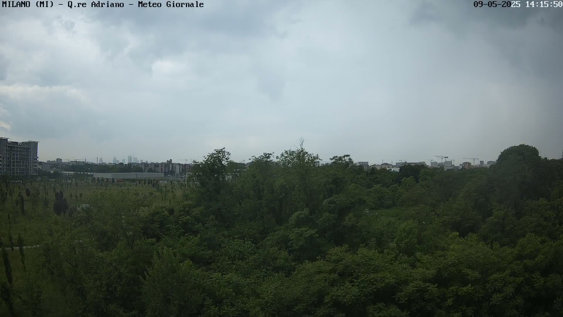 A view of a dense green forest with a city skyline and overcast skies in the distance.