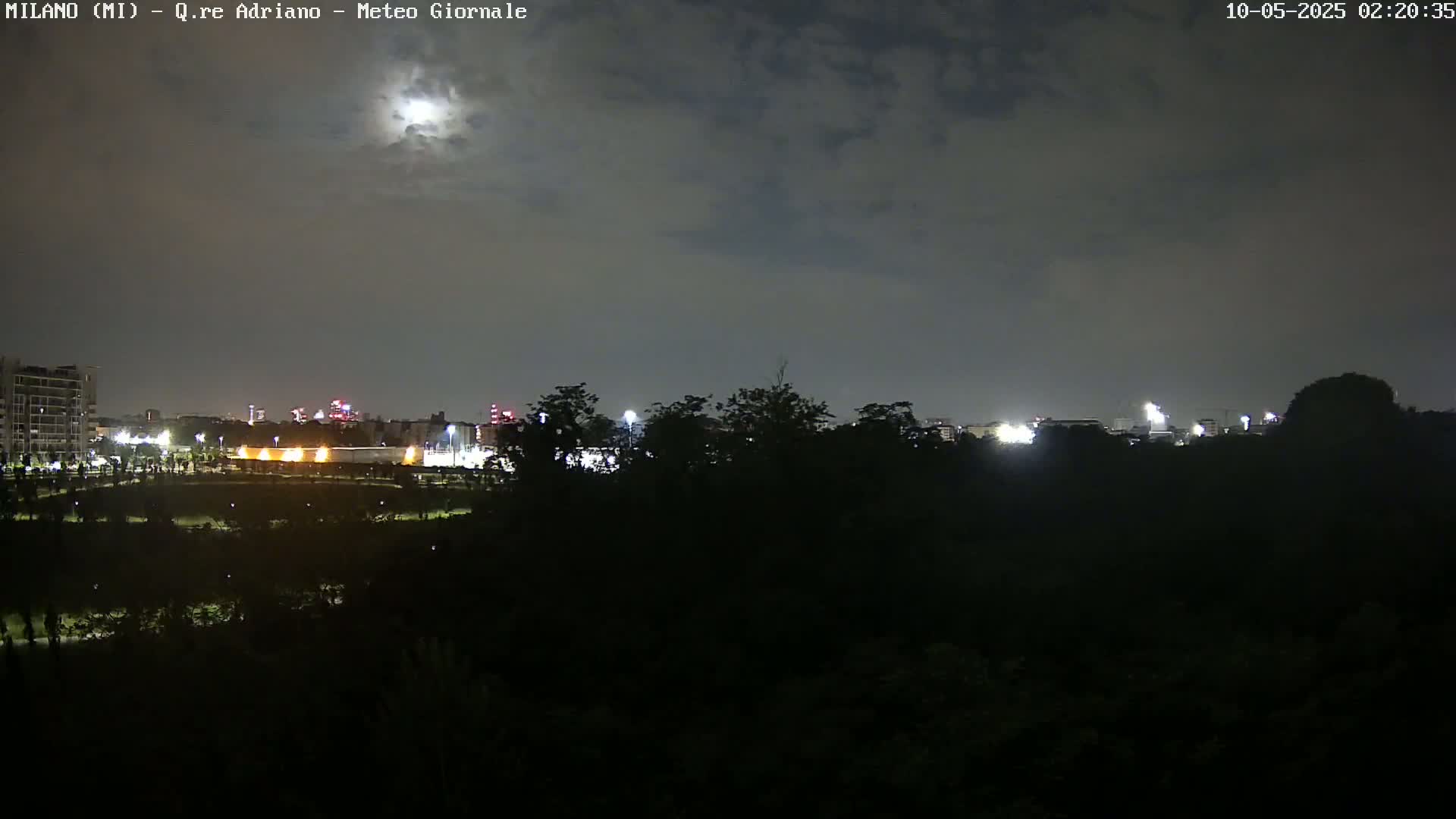 A nighttime view of a city skyline partially obscured by dark trees under a partly cloudy sky with a bright moon.