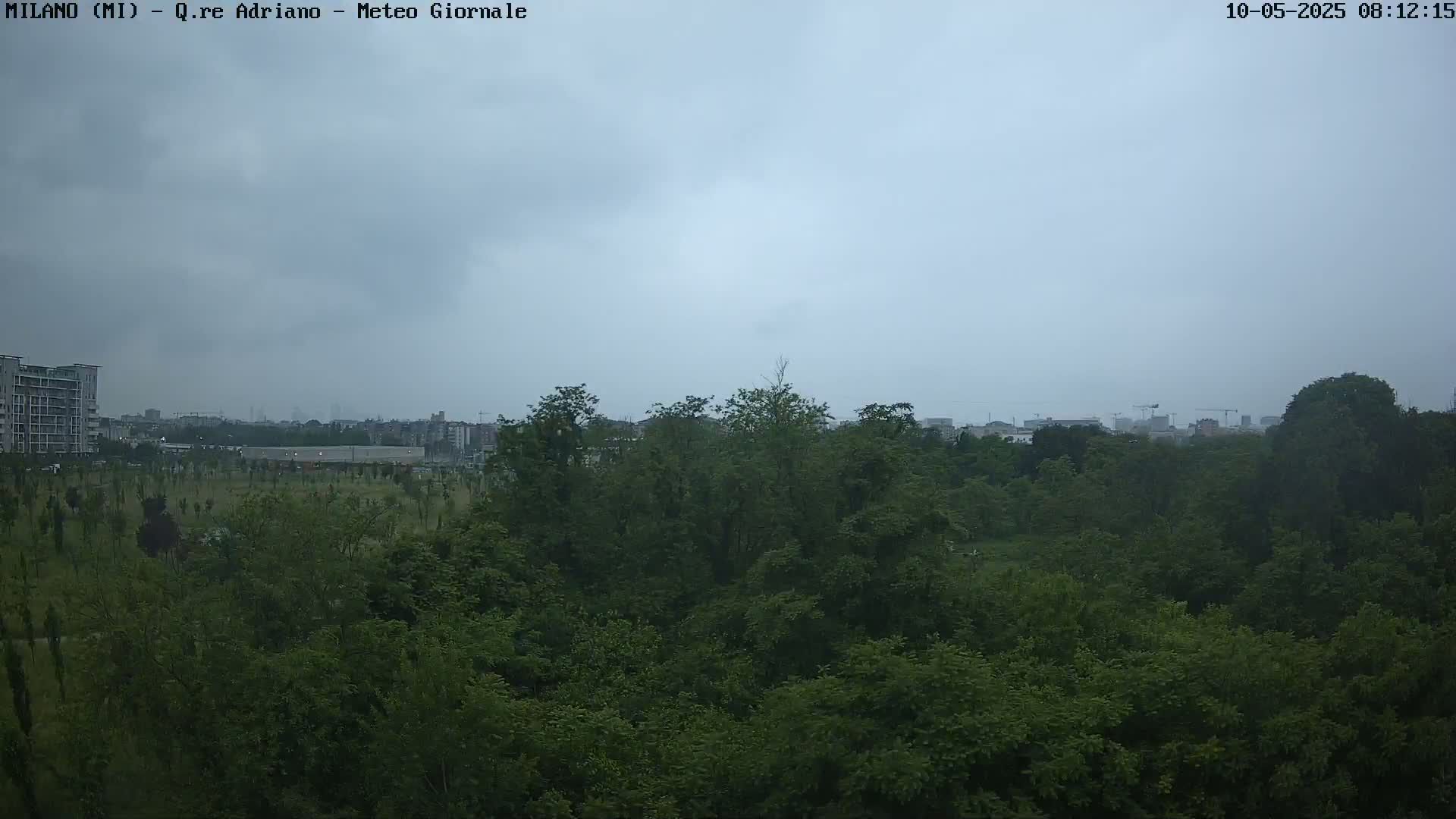 A view of a park with lush green trees under an overcast sky.