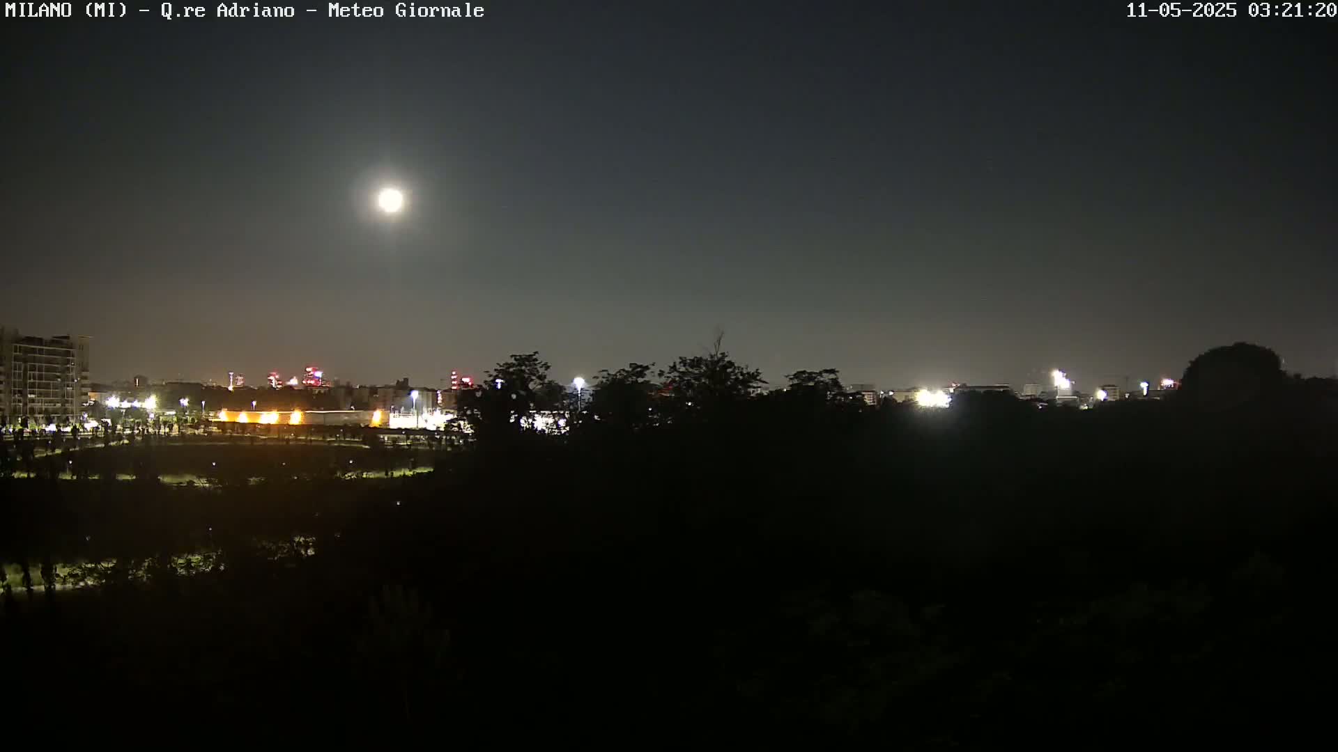 A nighttime view of a city skyline partially obscured by trees under a bright moonlit sky.