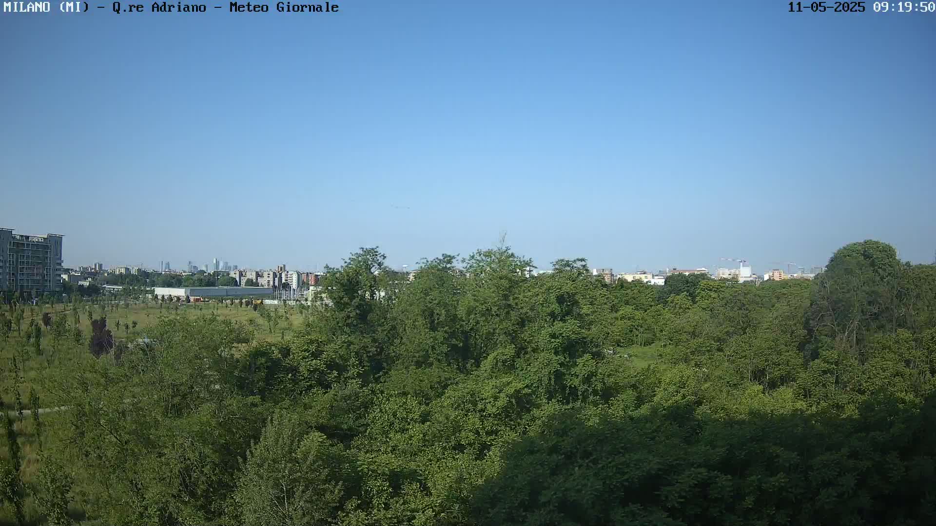 A lush green forest in the foreground stretches towards a distant cityscape under a clear blue sky.