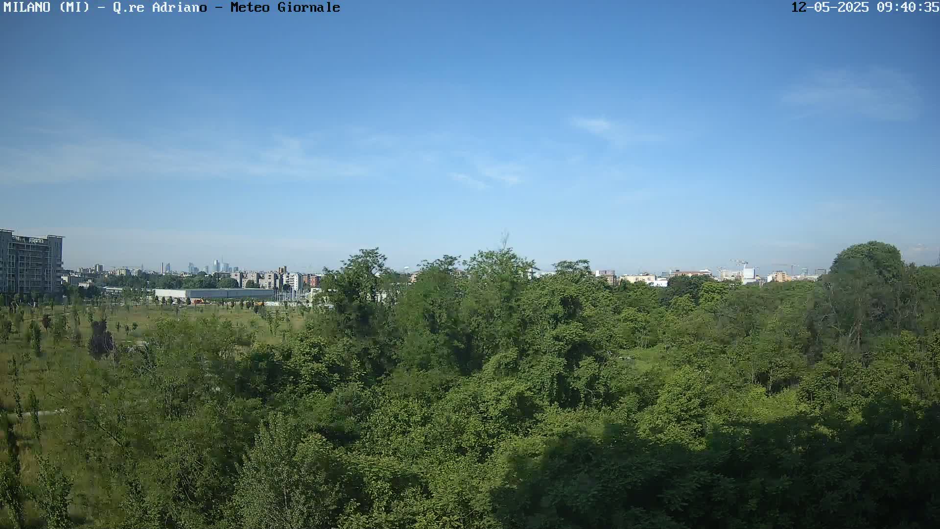 A lush green park with a cityscape visible in the distance under a clear blue sky.
